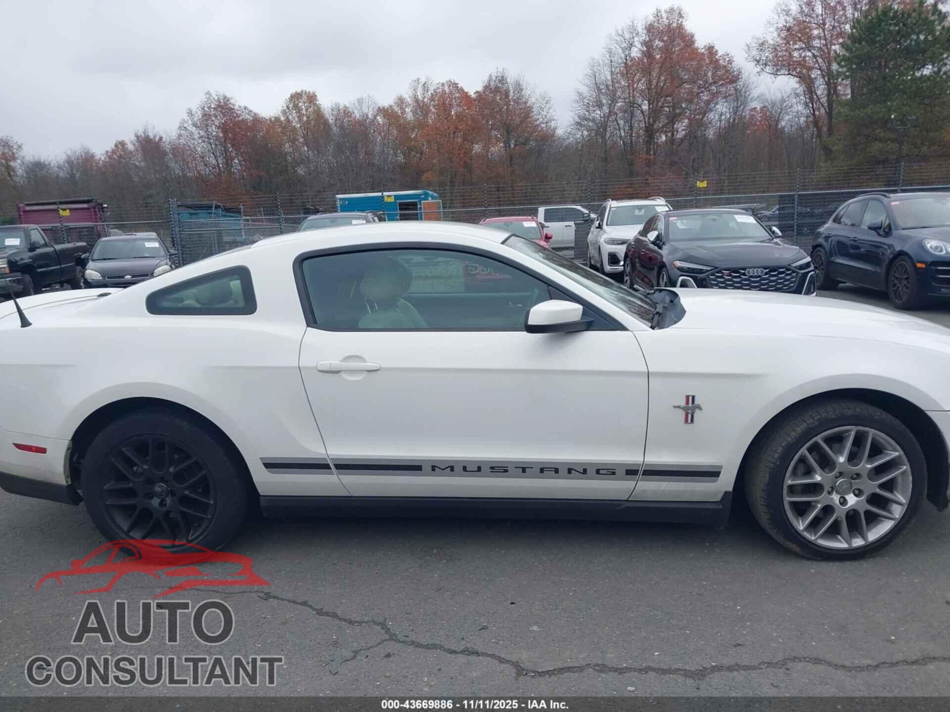 FORD MUSTANG 2012 - 1ZVBP8AM3C5277802