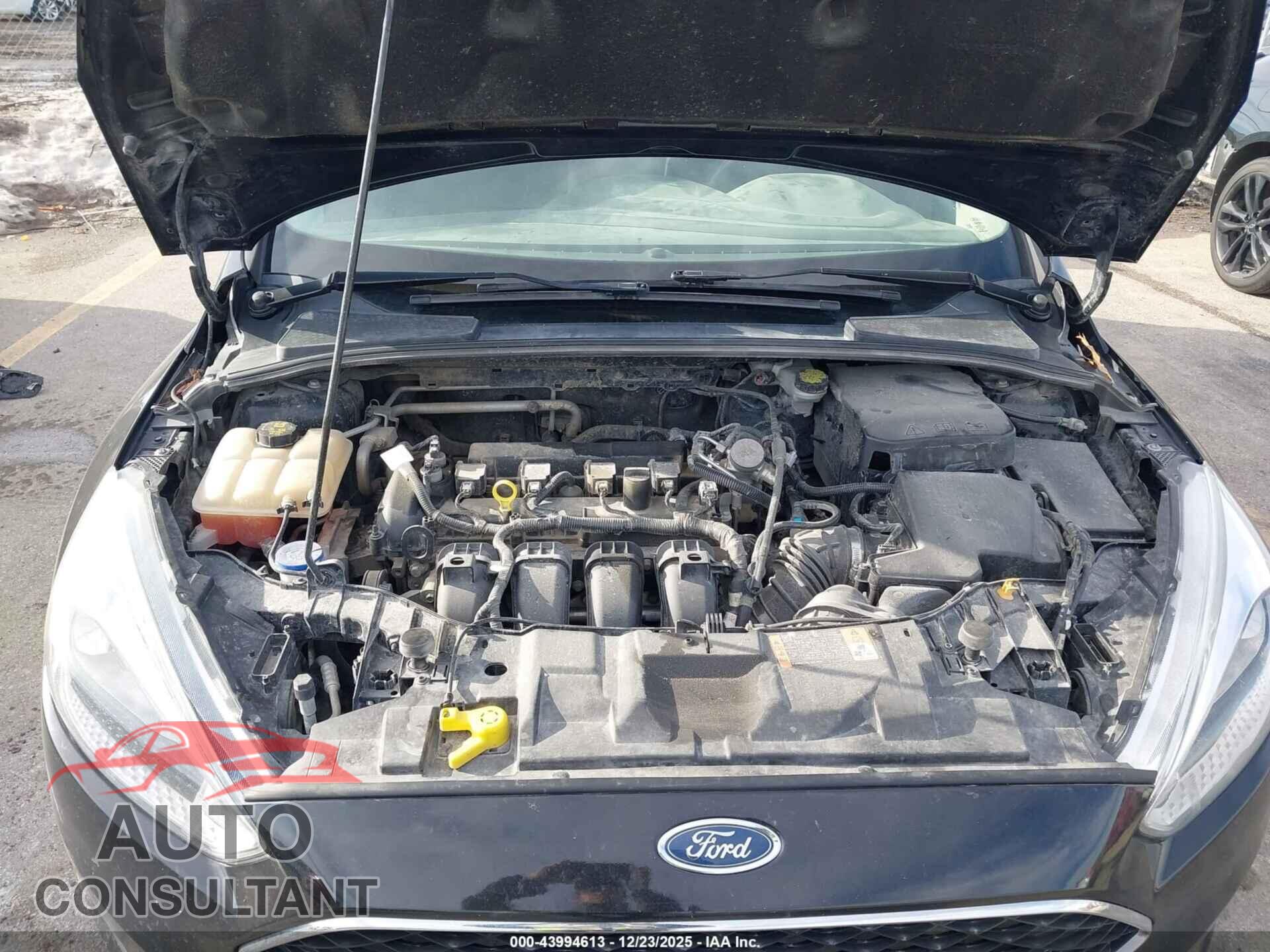 FORD FOCUS 2016 - 1FADP3F26GL395534