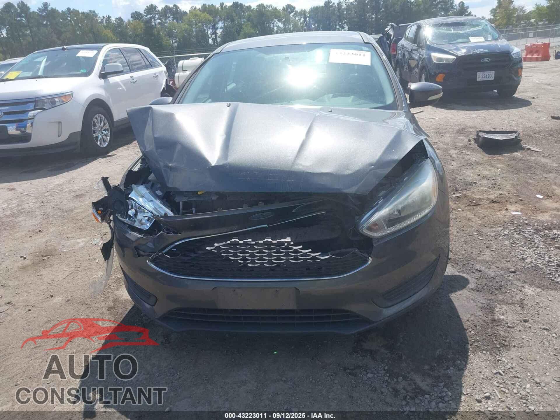 FORD FOCUS 2016 - 1FADP3F21GL373621