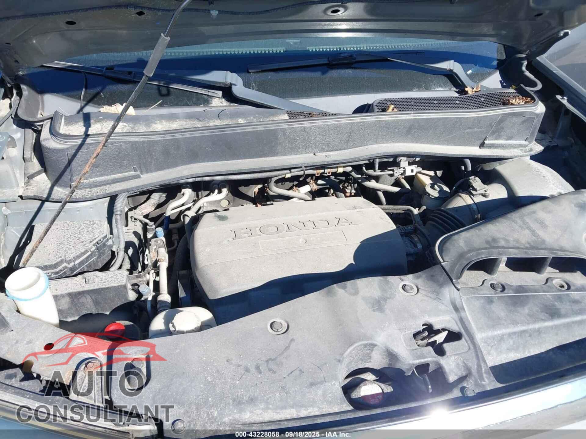 HONDA PILOT 2010 - 5FNYF4H89AB012332