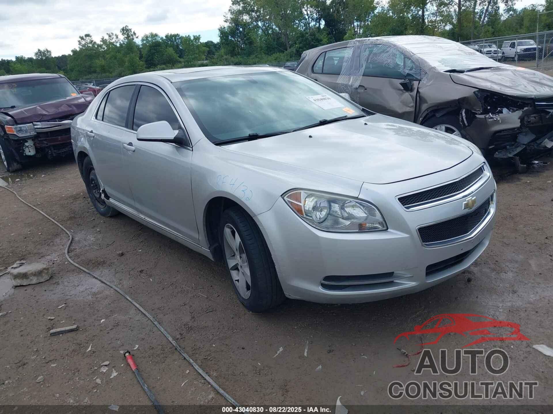 CHEVROLET MALIBU 2011 - 1G1ZC5E13BF305918