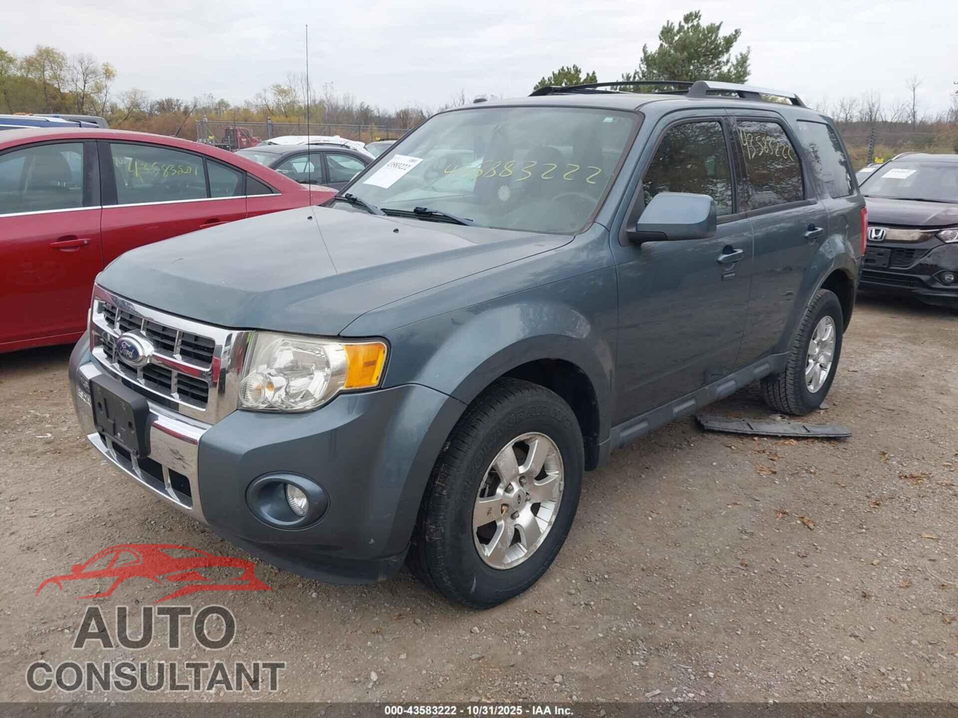 FORD ESCAPE 2011 - 1FMCU0EG7BKB96187