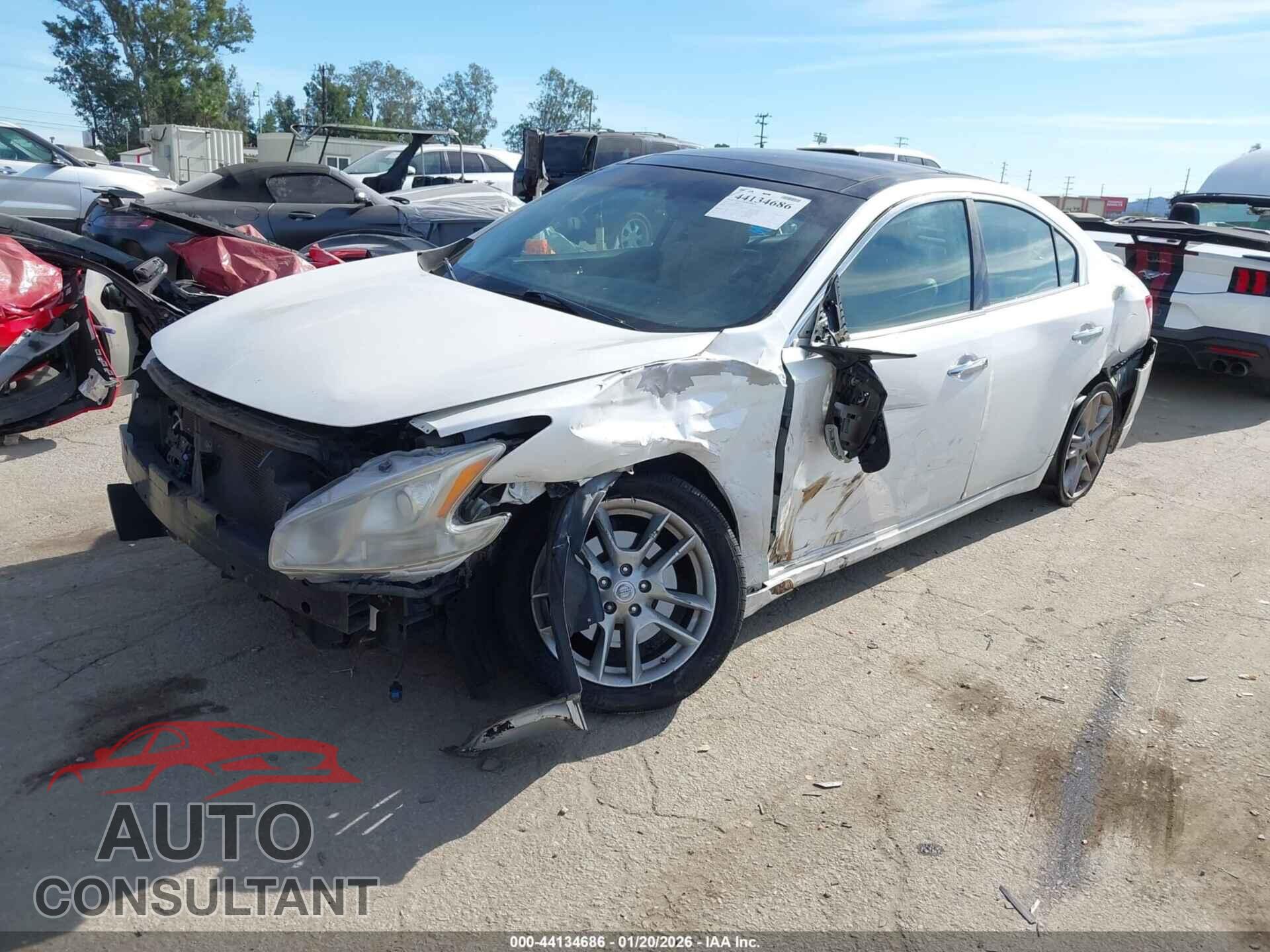 NISSAN MAXIMA 2010 - 1N4AA5APXAC871908