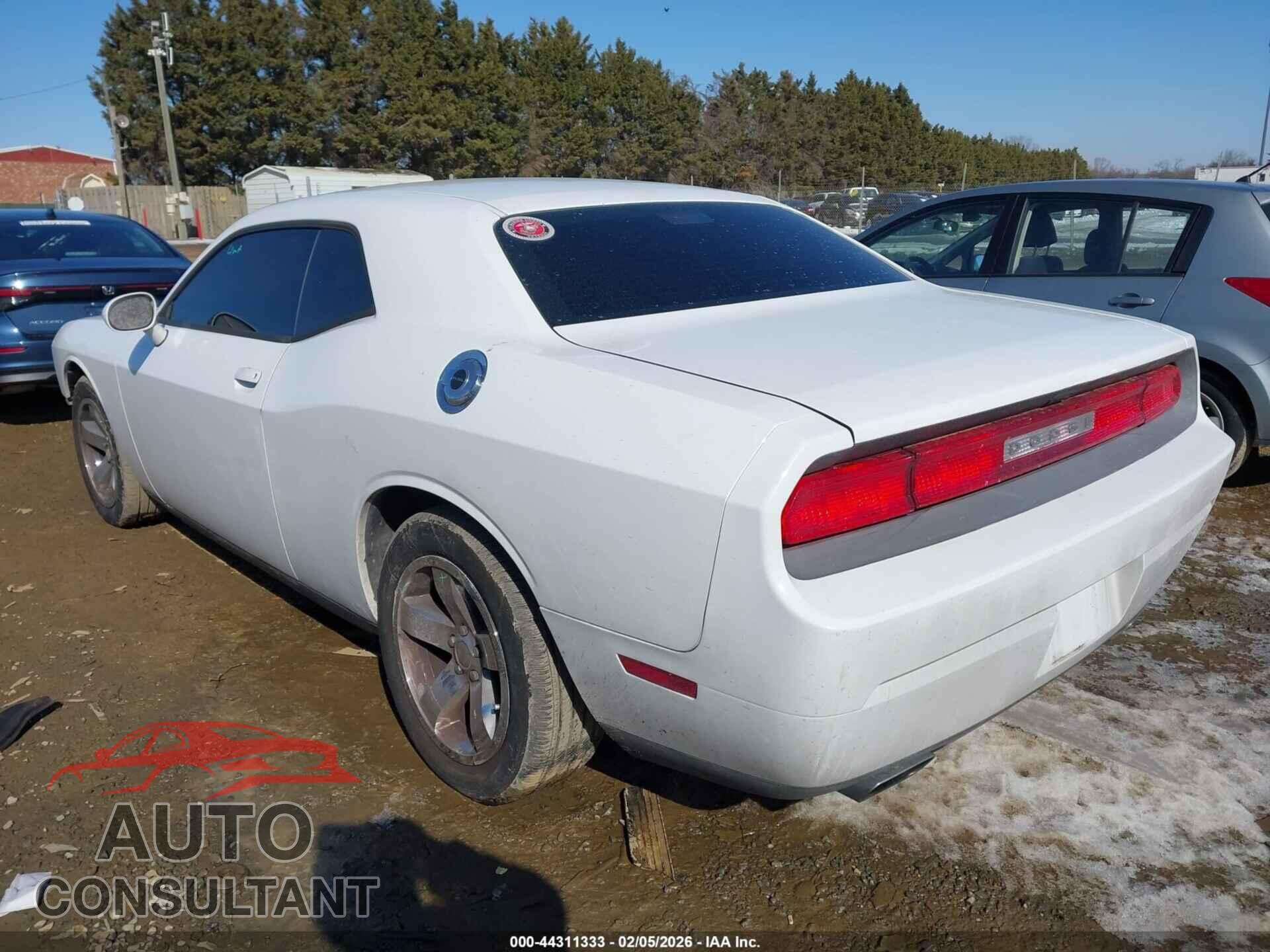 DODGE CHALLENGER 2013 - 2C3CDYAG2DH693820