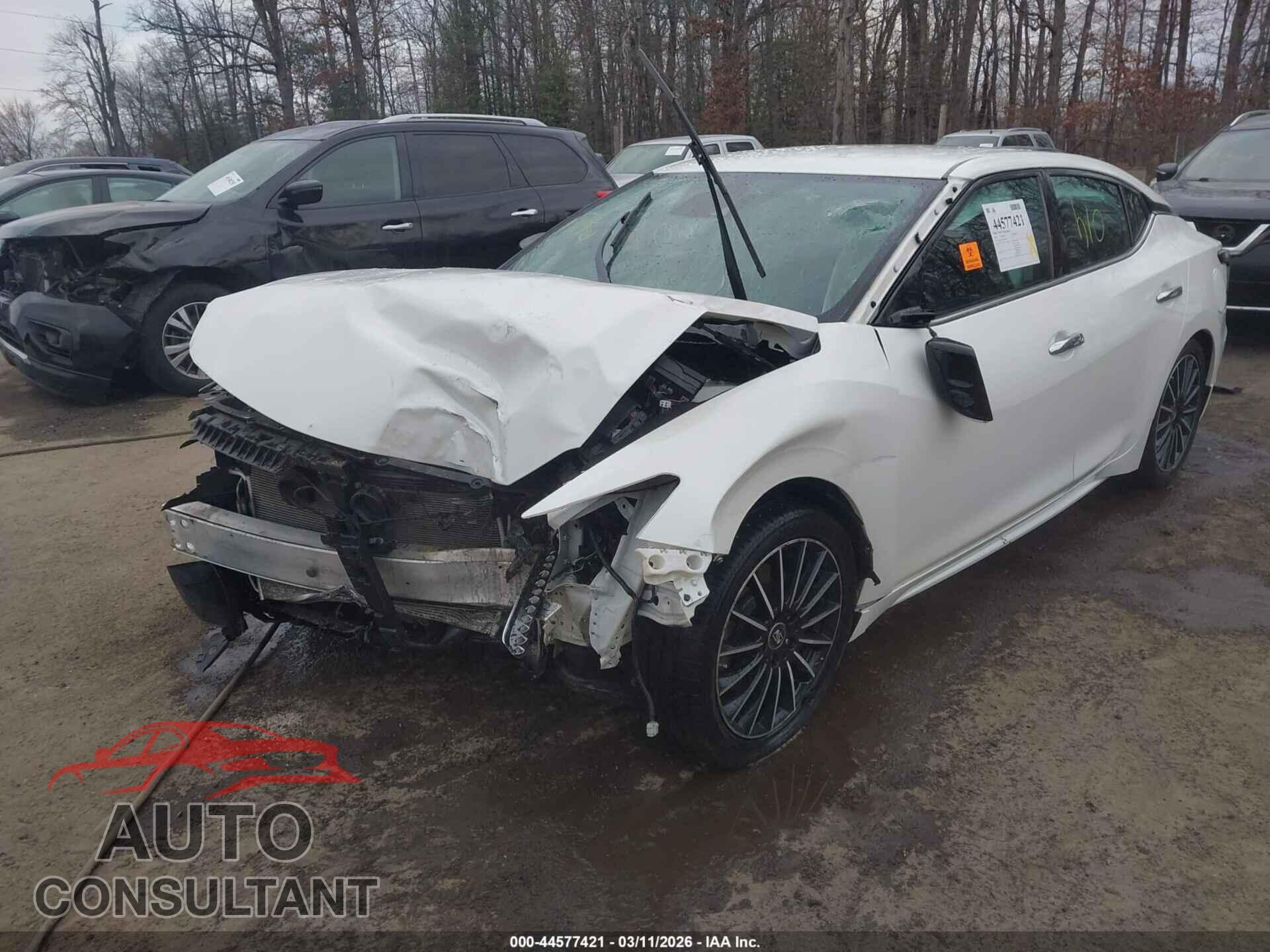 NISSAN MAXIMA 2021 - 1N4AA6CV1MC512985