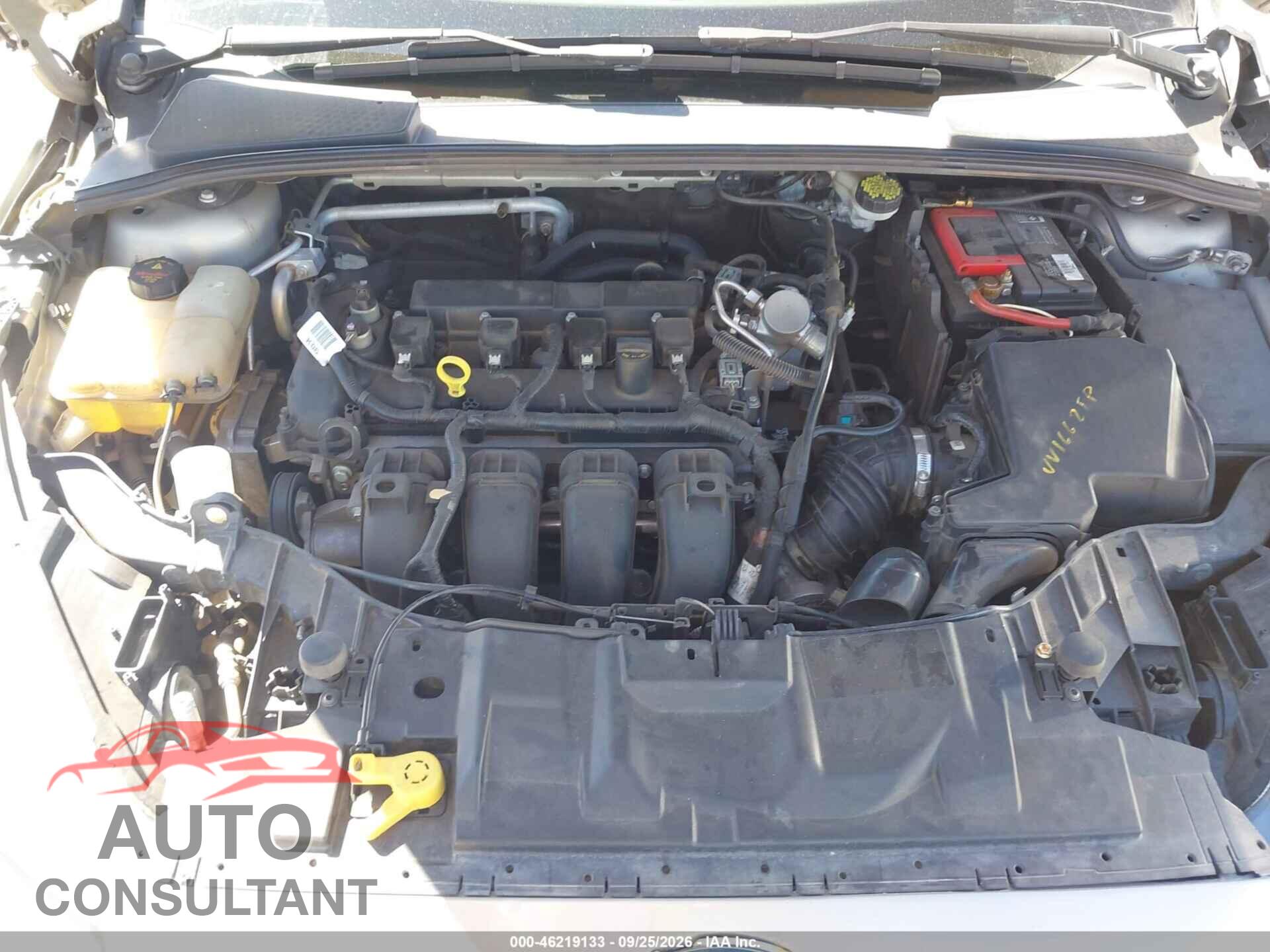 FORD FOCUS 2016 - 1FADP3F22GL365446
