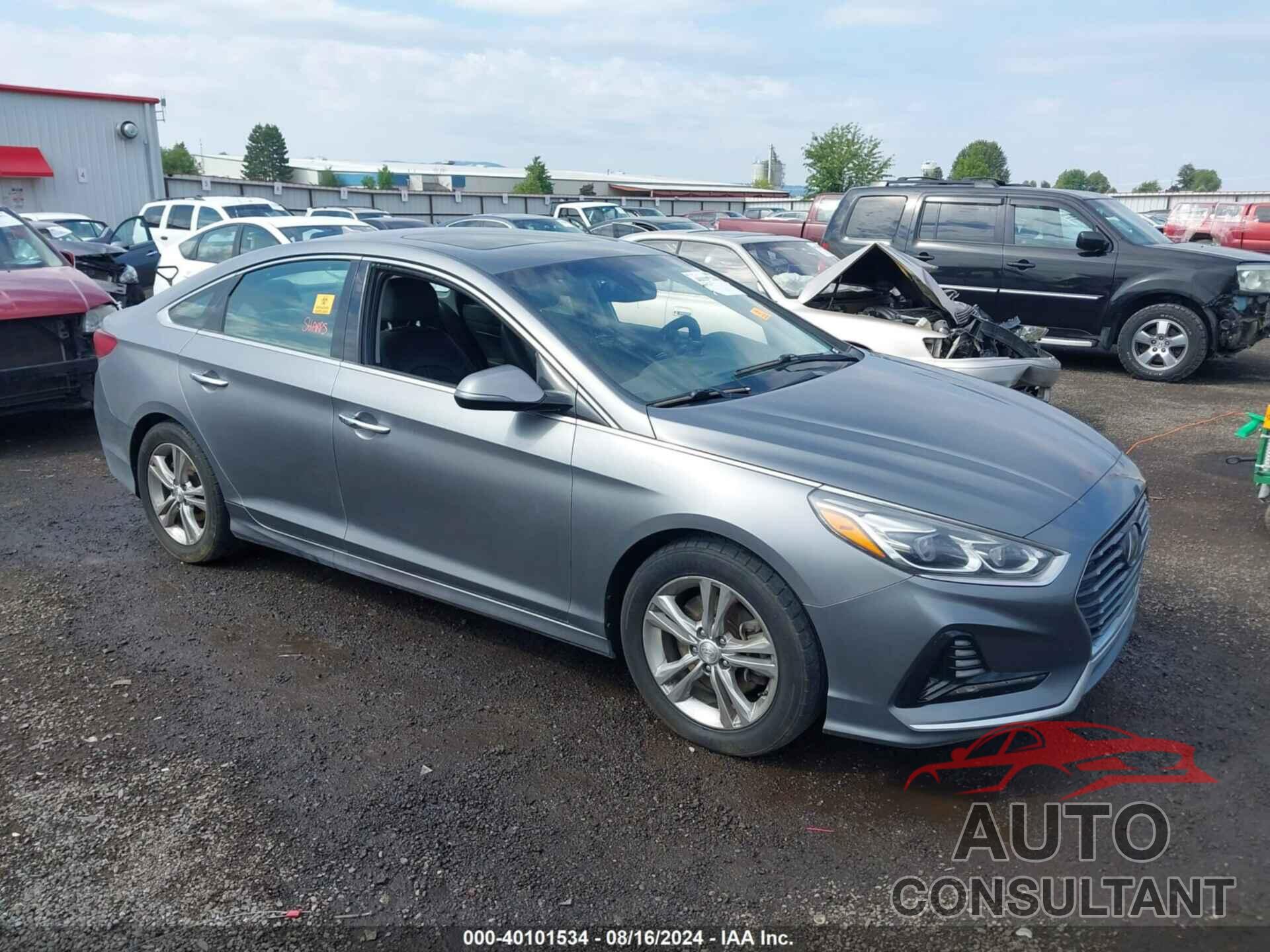 HYUNDAI SONATA 2018 - 5NPE34AF3JH634592