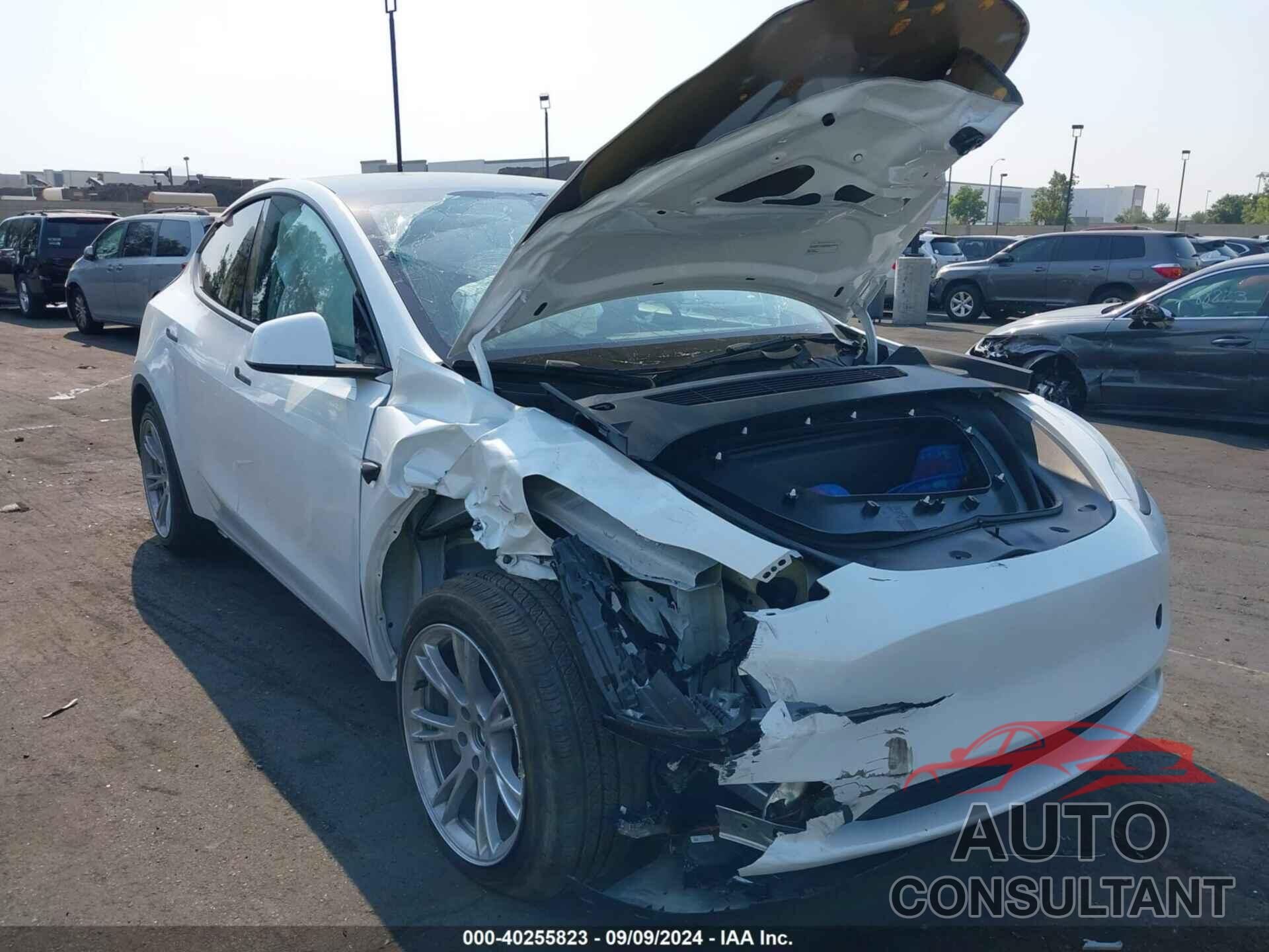 TESLA MODEL Y 2024 - 7SAYGDED3RF011125