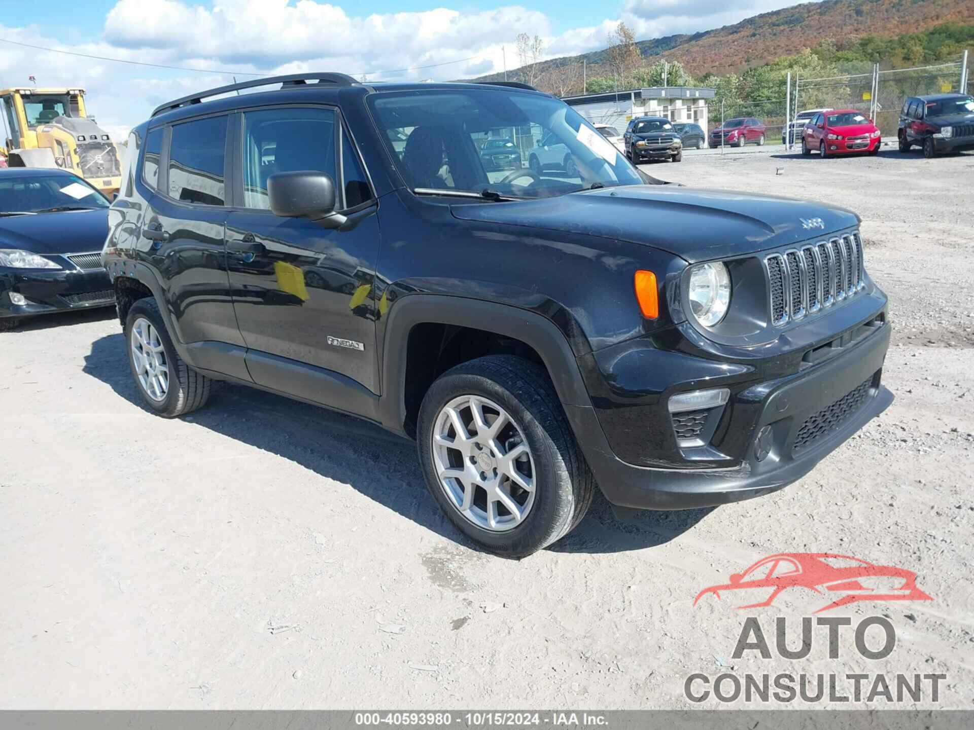 JEEP RENEGADE 2019 - ZACNJBAB2KPJ84303