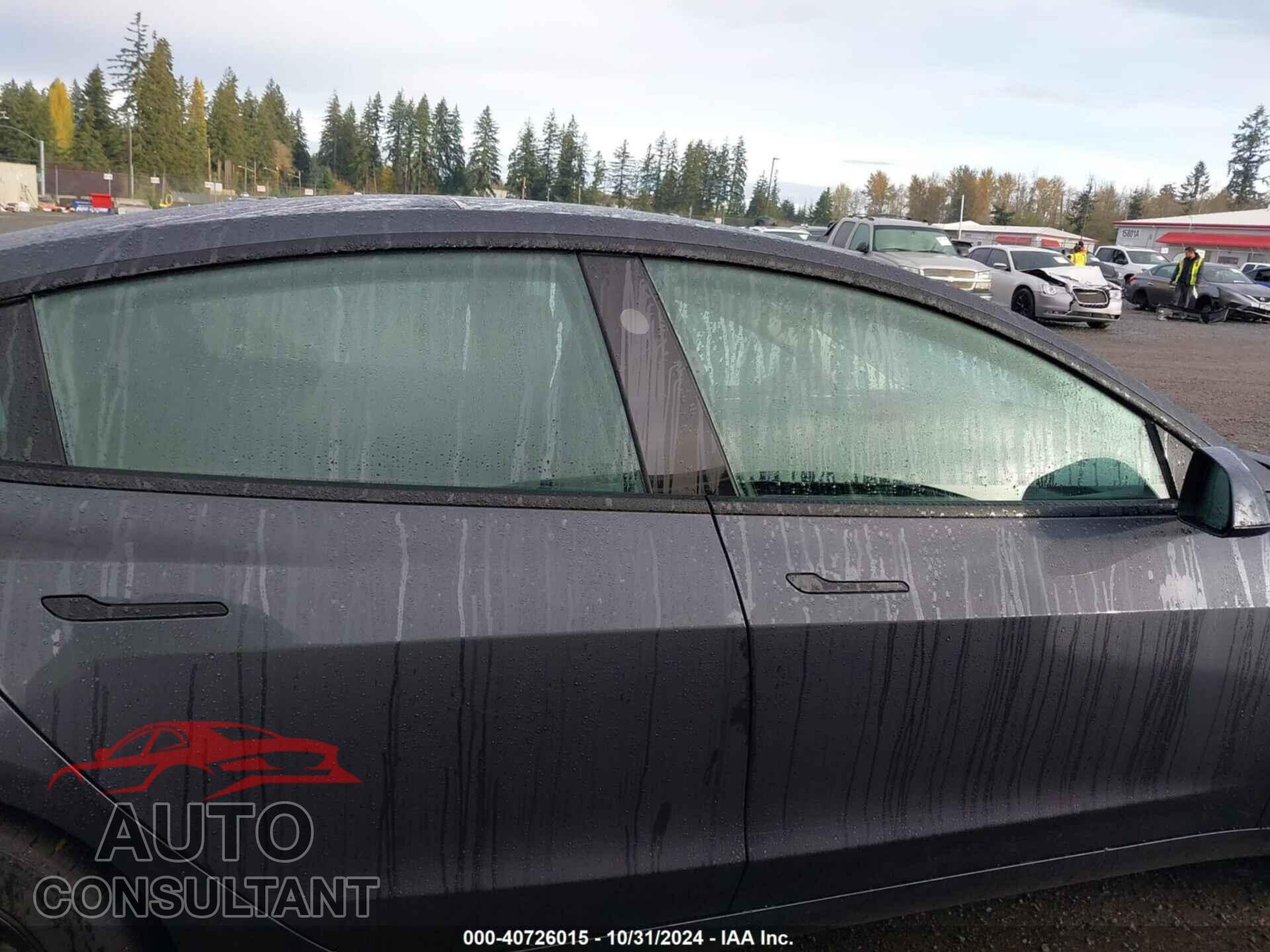TESLA MODEL 3 2024 - 5YJ3E1EA8RF865982