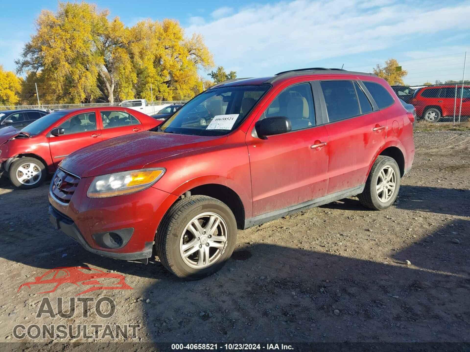 HYUNDAI SANTA FE 2010 - 5NMSGDAB0AH366621