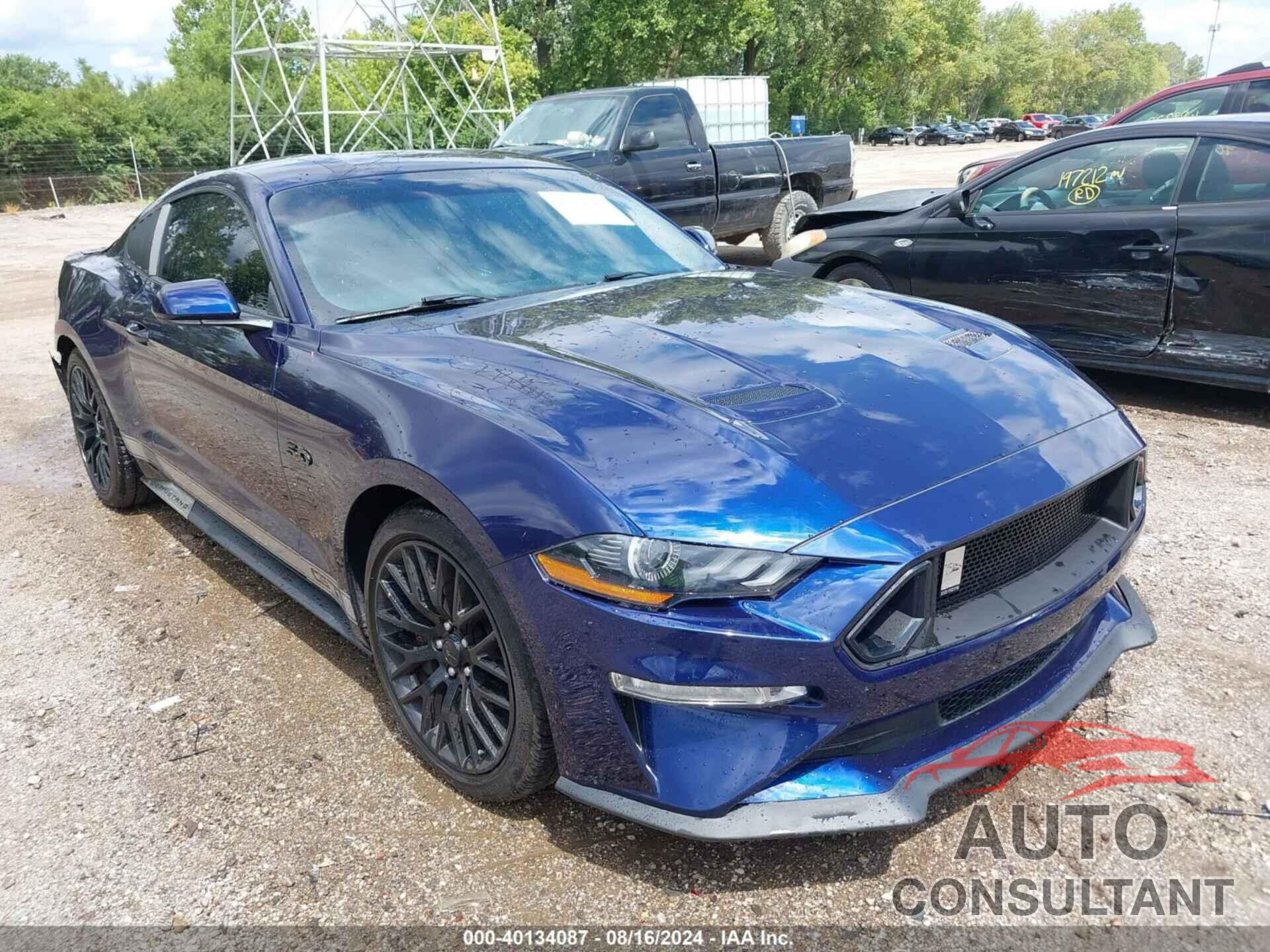 FORD MUSTANG 2019 - 1FA6P8CF0K5117688