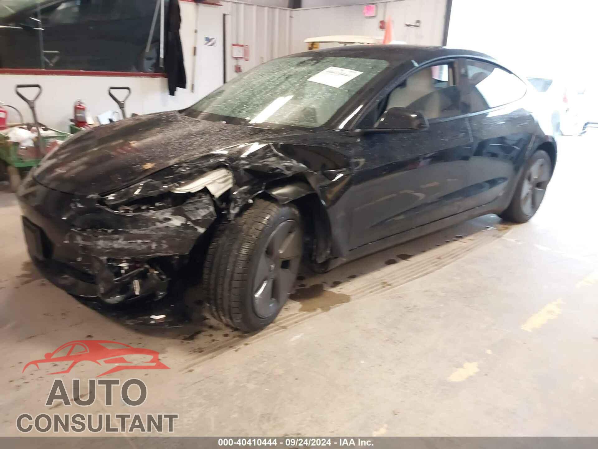 TESLA MODEL 3 2021 - 5YJ3E1EB1MF981199