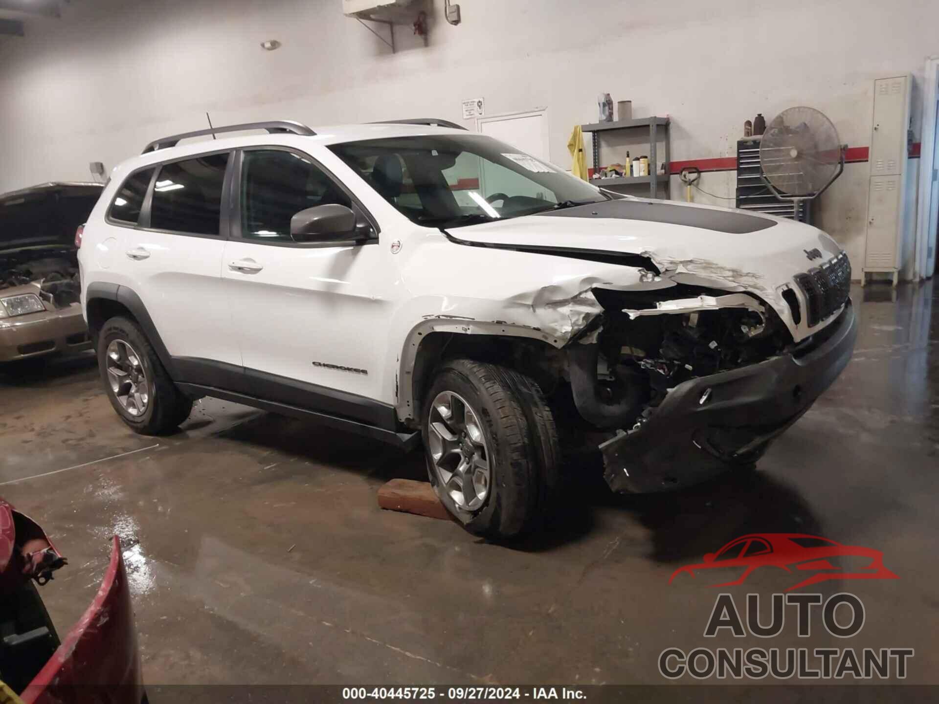 JEEP CHEROKEE 2019 - 1C4PJMBX6KD301719