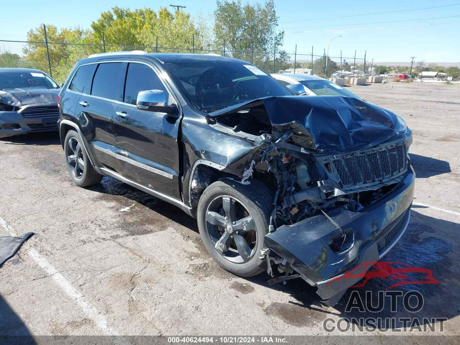 JEEP GRAND CHEROKEE 2011 - 1J4RR6GT9BC560241