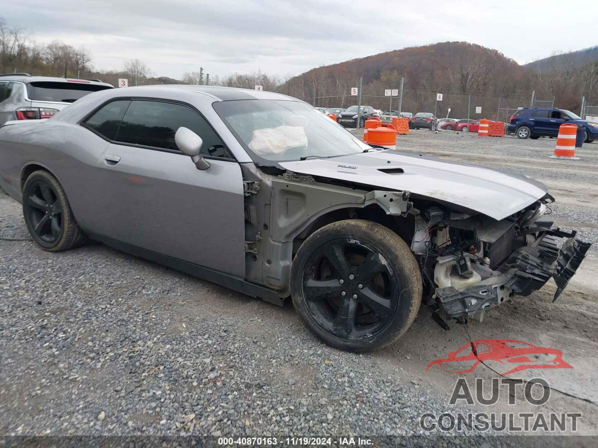 DODGE CHALLENGER 2013 - 2C3CDYBT7DH676734