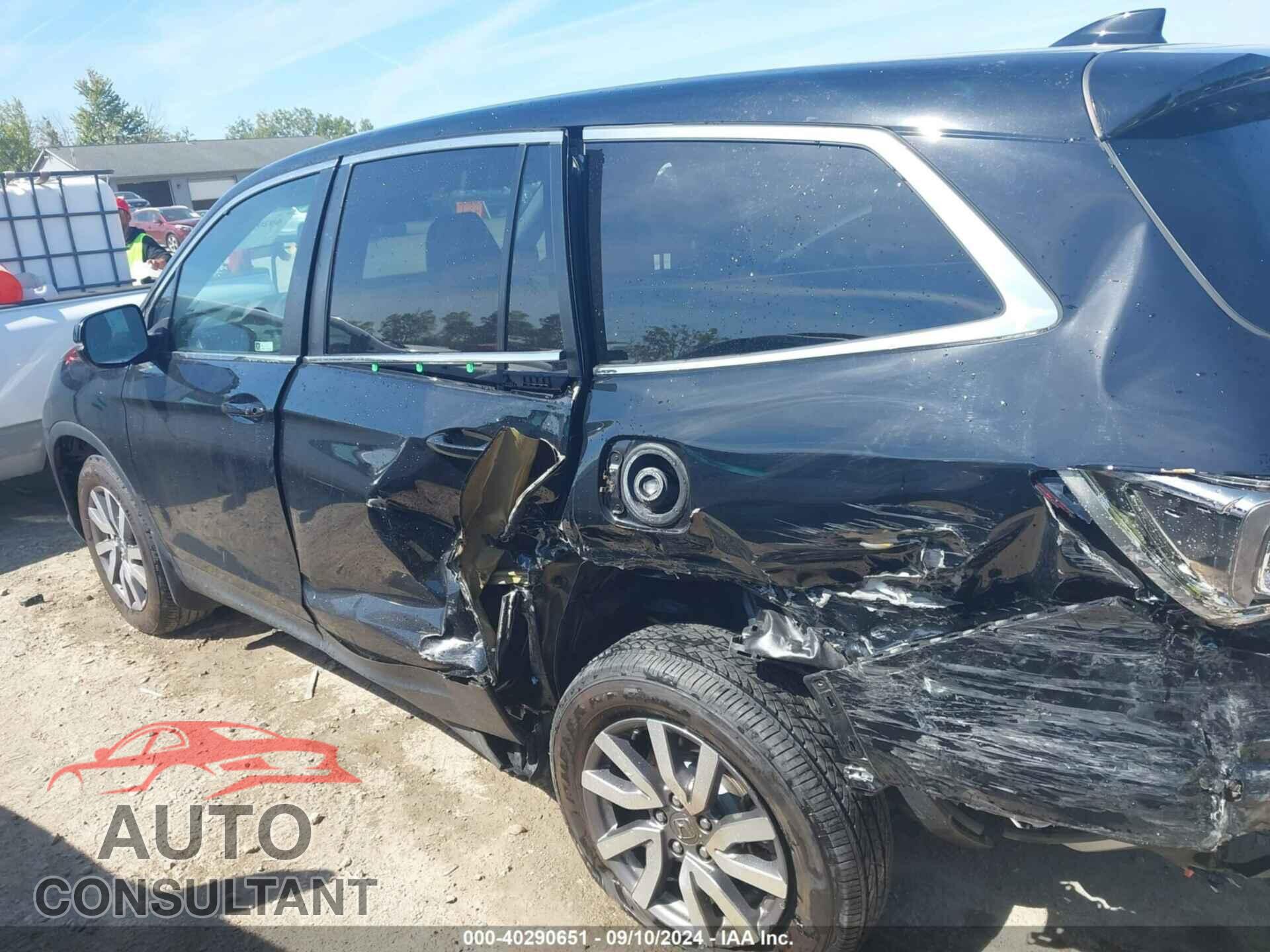 HONDA PILOT 2019 - 5FNYF6H55KB086382