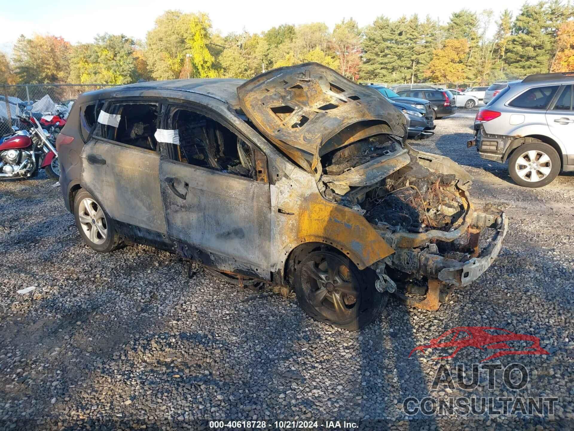 FORD ESCAPE 2014 - 1FMCU9GX2EUD12938