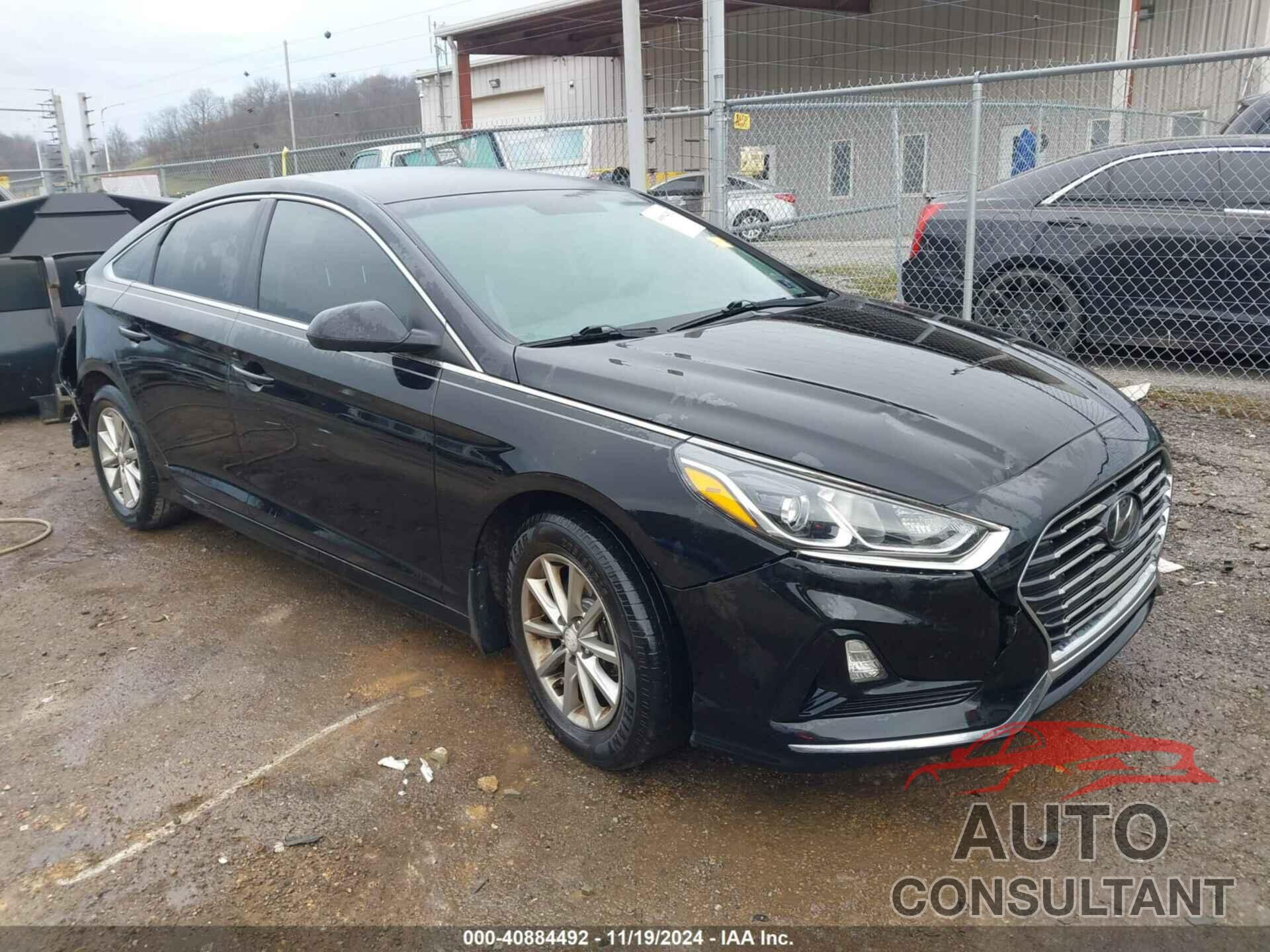 HYUNDAI SONATA 2019 - 5NPE24AF7KH746963