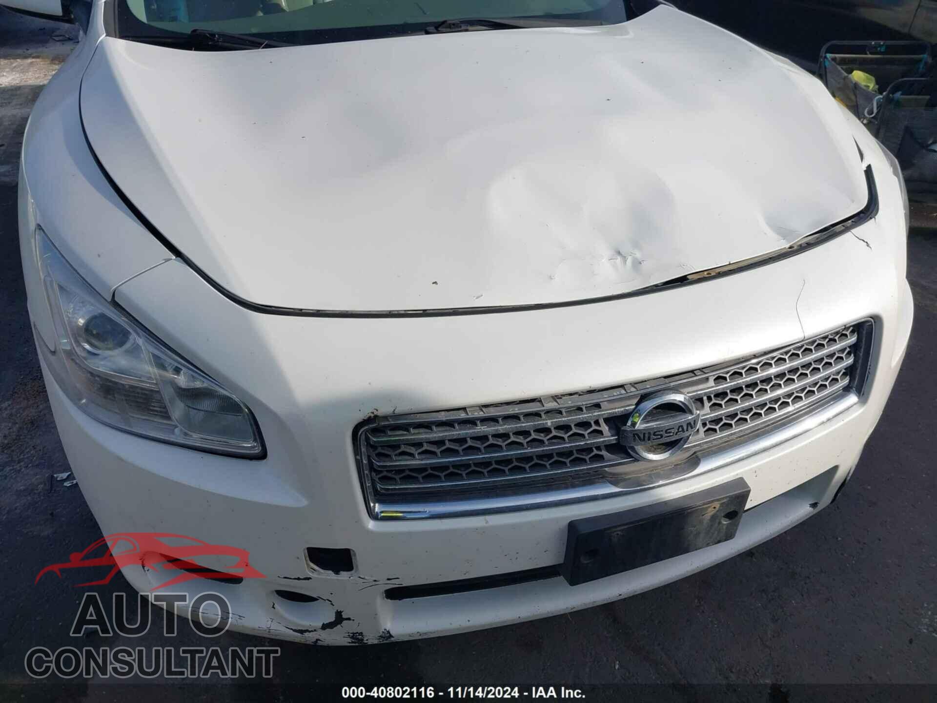 NISSAN MAXIMA 2009 - 1N4AA51E69C802448