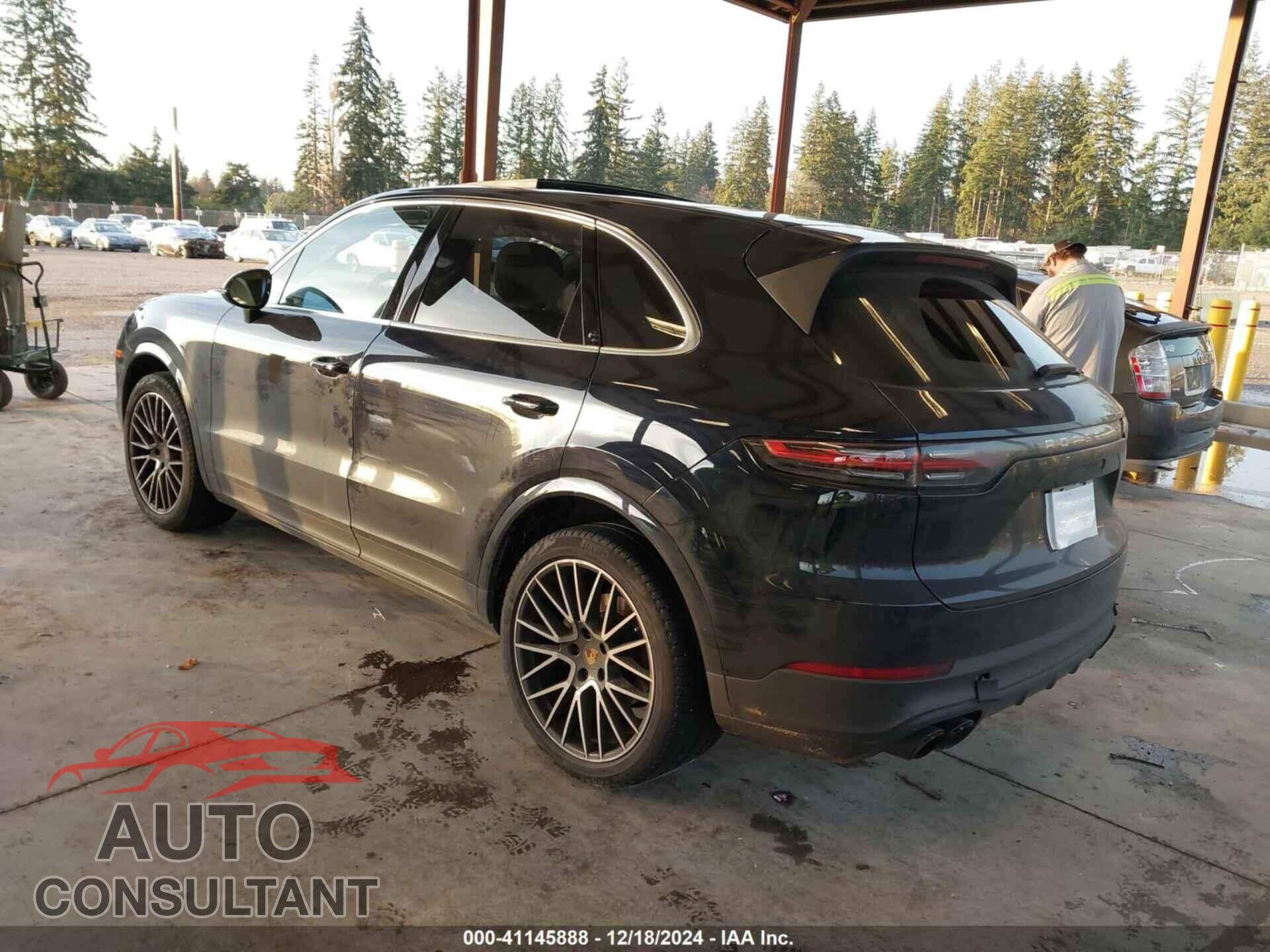 PORSCHE CAYENNE 2019 - WP1AA2AY9KDA15799