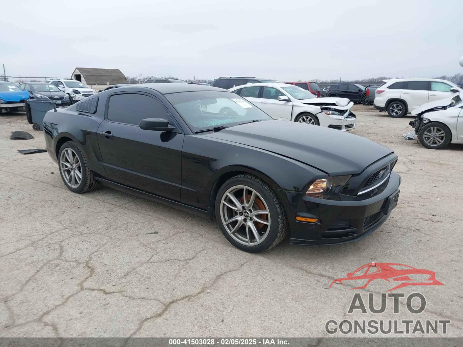 FORD MUSTANG 2014 - 1ZVBP8AMXE5269733