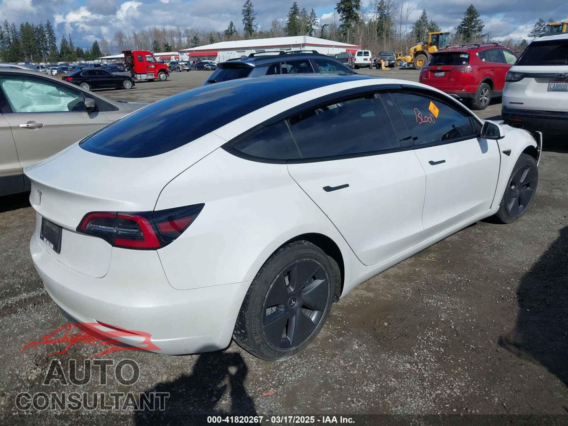 TESLA MODEL 3 2021 - 5YJ3E1EA0MF062074