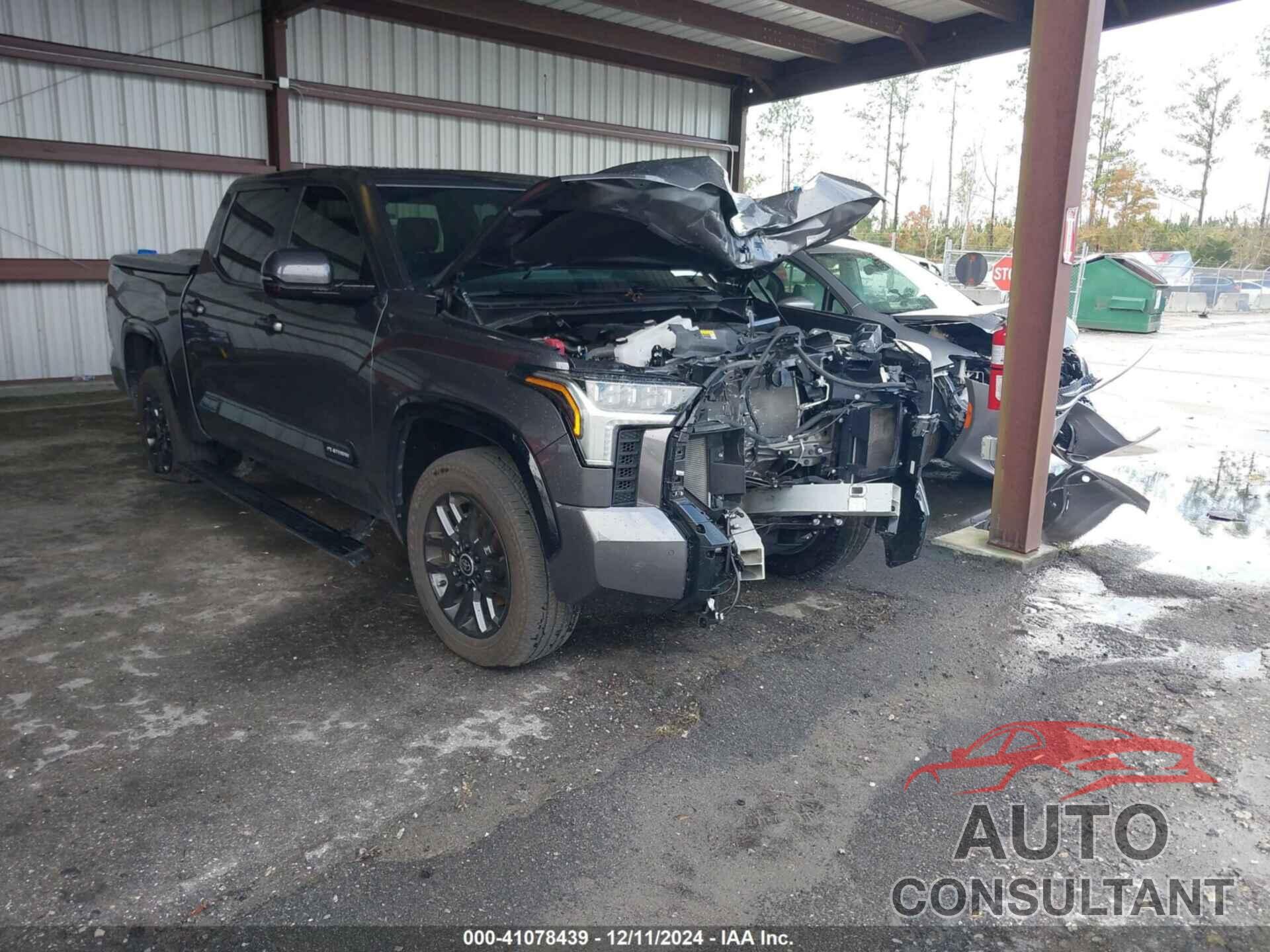 TOYOTA TUNDRA 2024 - 5TFNA5DB8RX186225