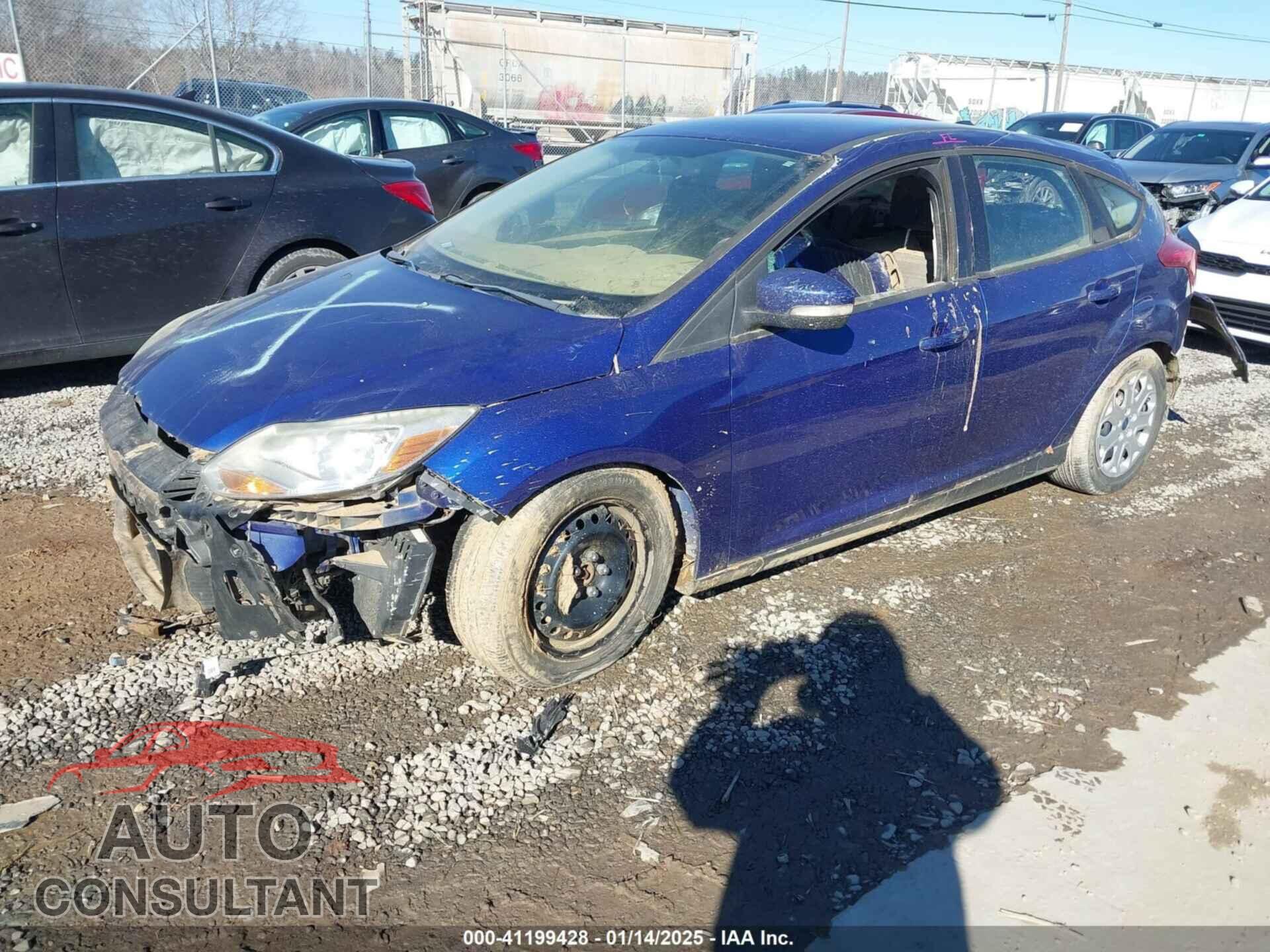 FORD FOCUS 2012 - 1FAHP3K25CL243066