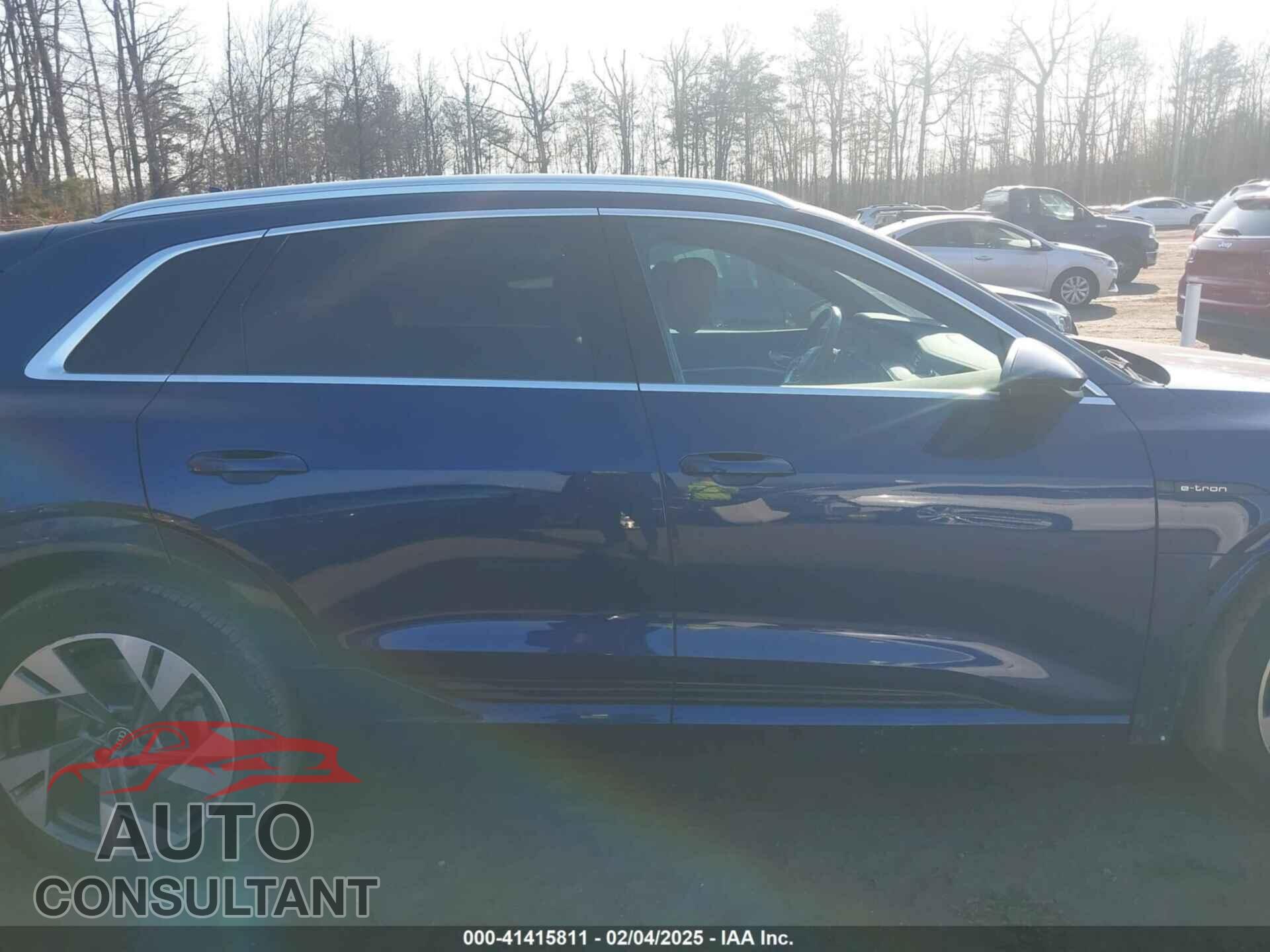 AUDI E-TRON 2021 - WA1LAAGE3MB028896