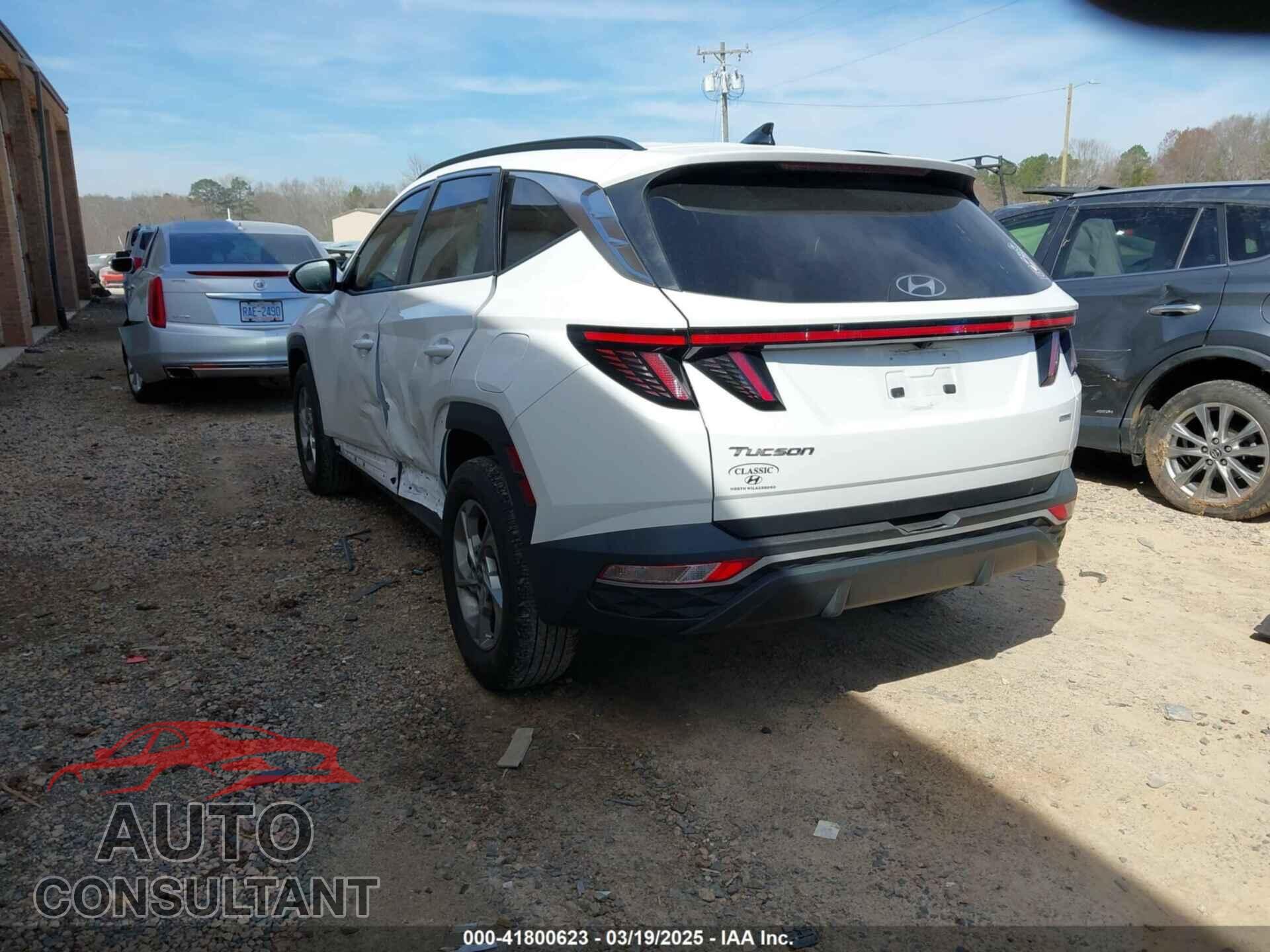 HYUNDAI TUCSON 2023 - 5NMJBCAE2PH190887