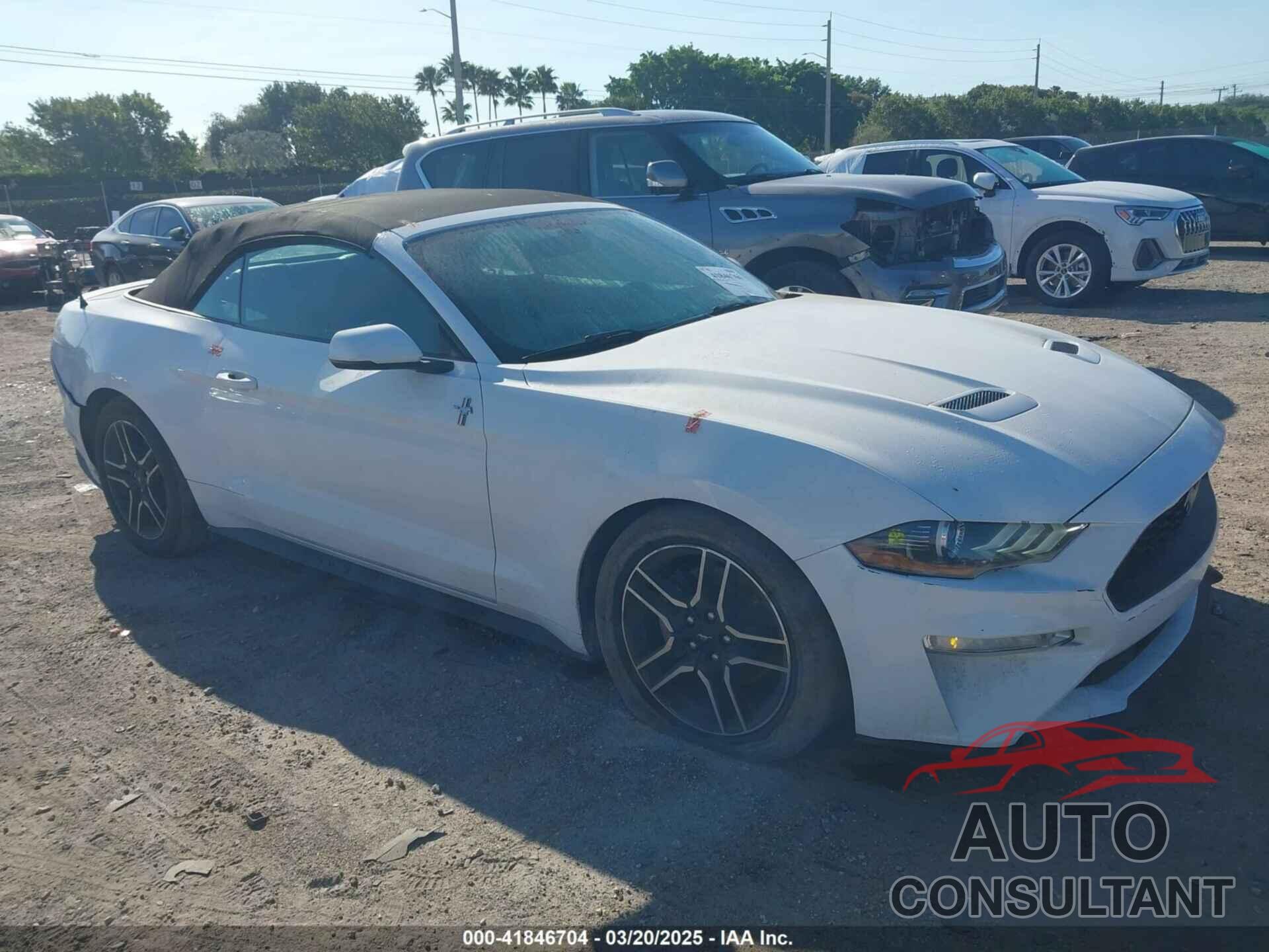 FORD MUSTANG 2019 - 1FATP8UH8K5162526