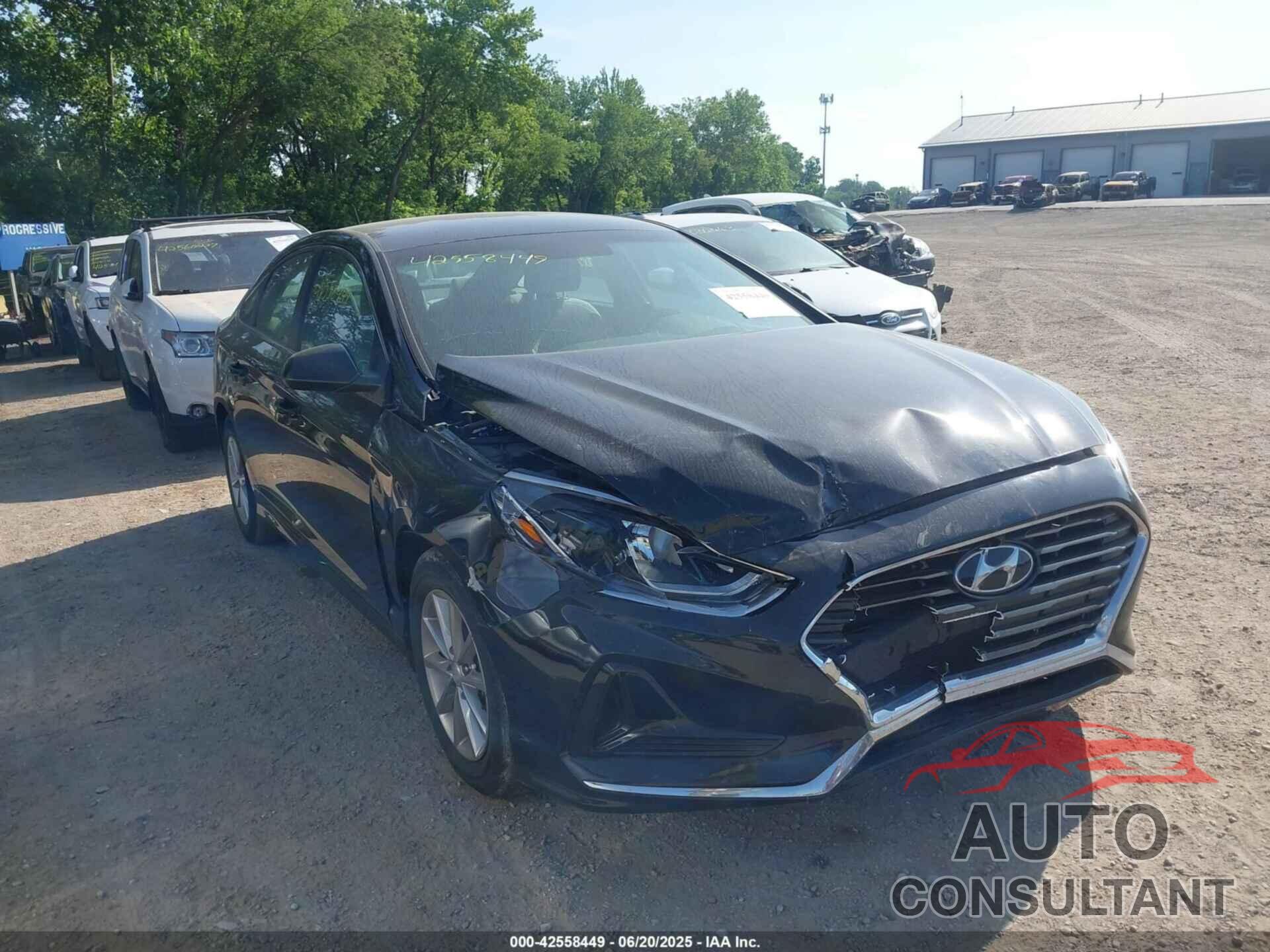 HYUNDAI SONATA 2018 - 5NPE24AF5JH696496