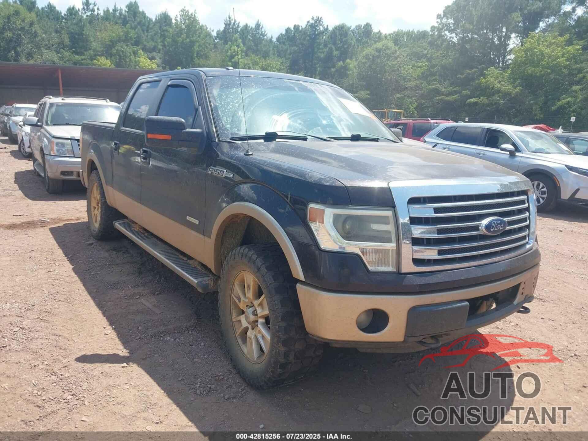 FORD F-150 2013 - 1FTFW1ET3DFA77644