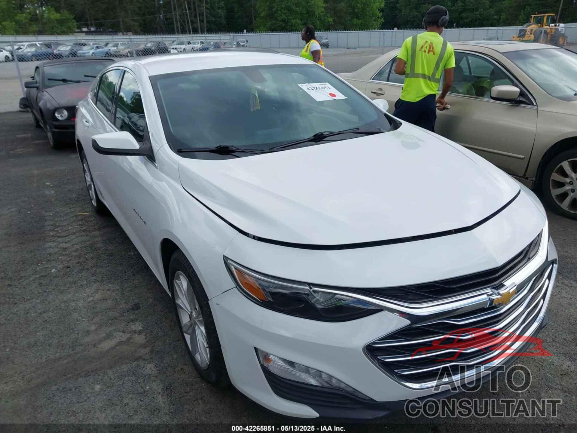 CHEVROLET MALIBU 2019 - 1G1ZD5ST9KF162251