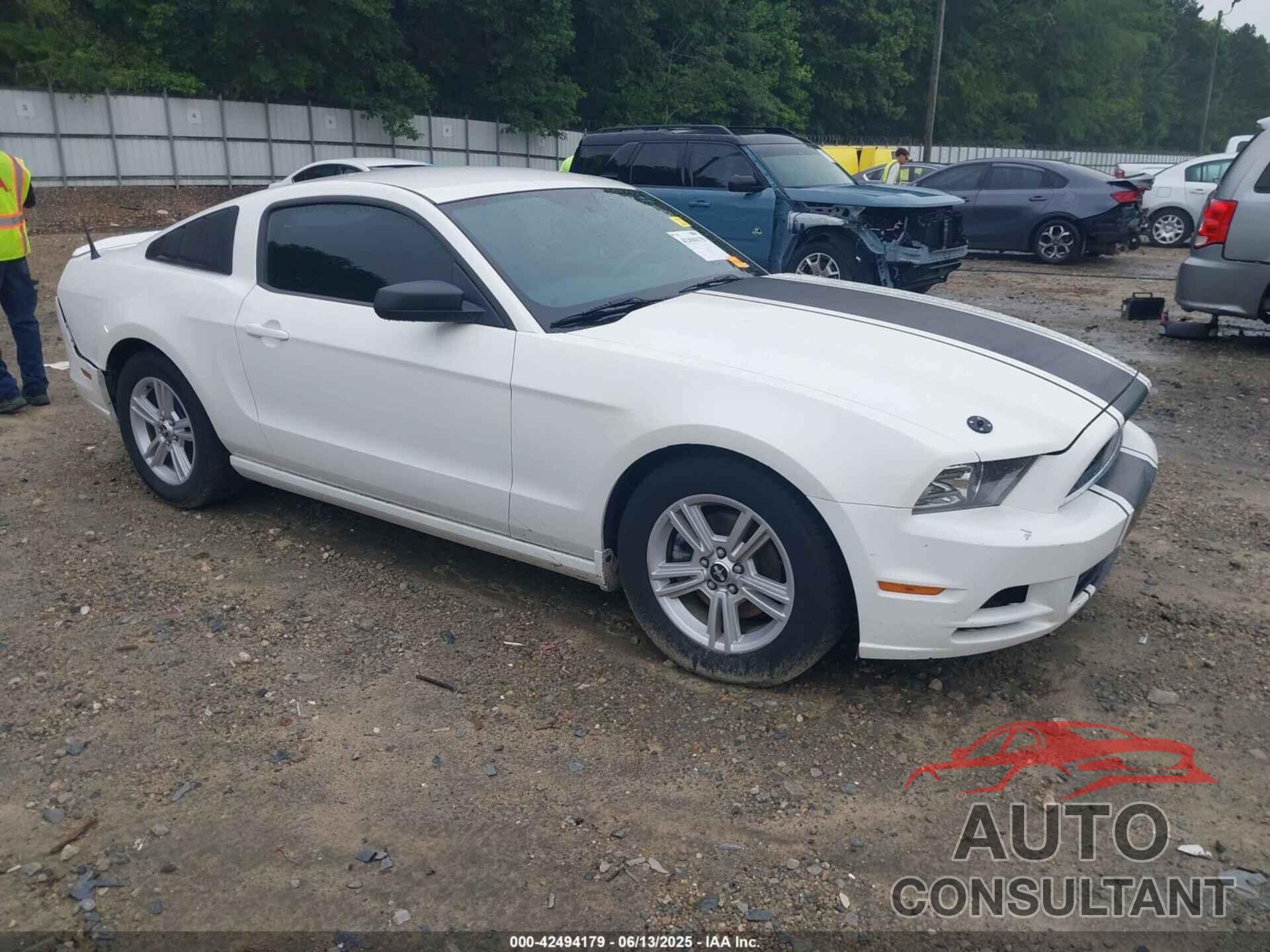 FORD MUSTANG 2013 - 1ZVBP8AM8D5242951