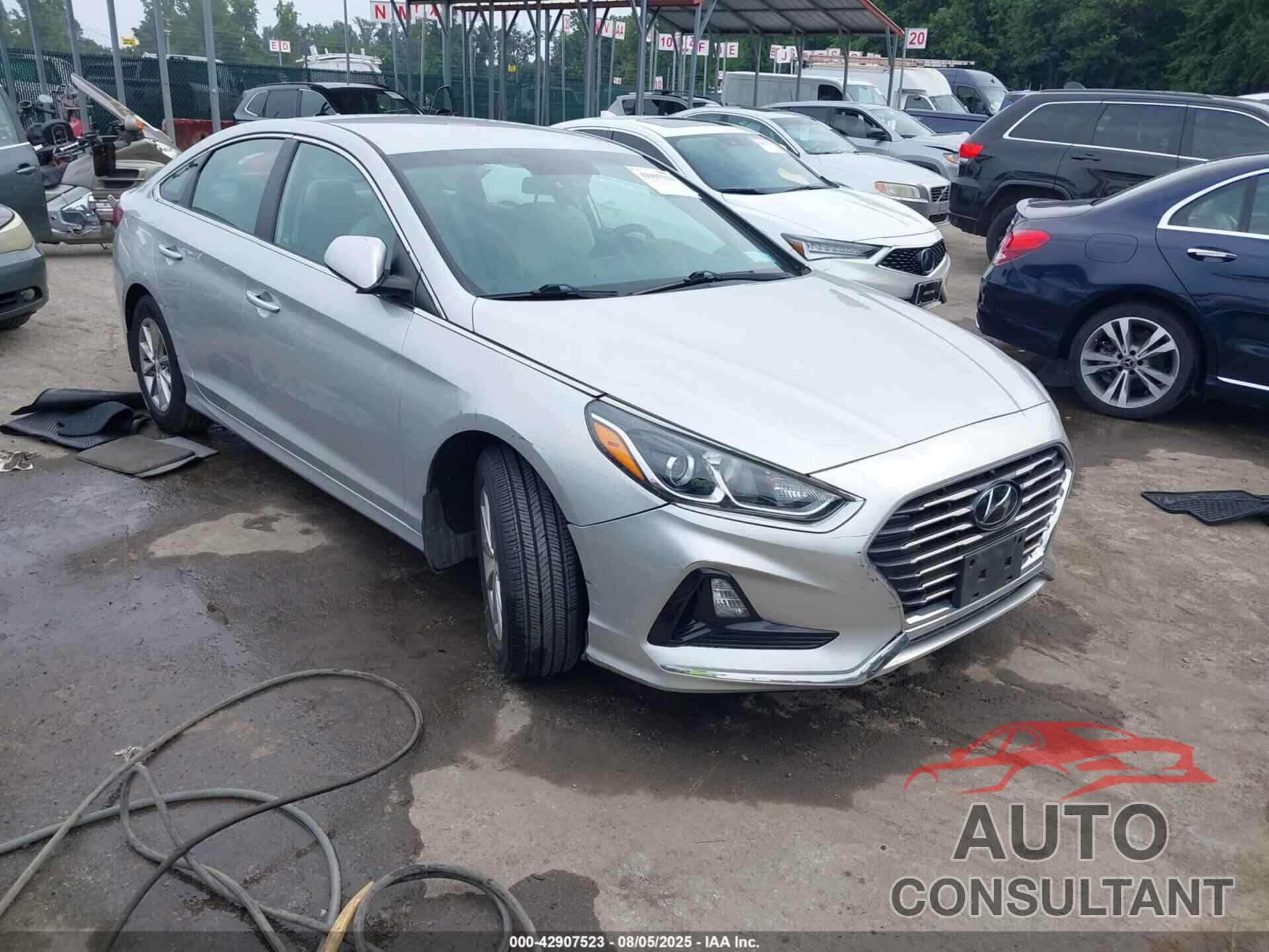 HYUNDAI SONATA 2019 - 5NPE24AF5KH811633