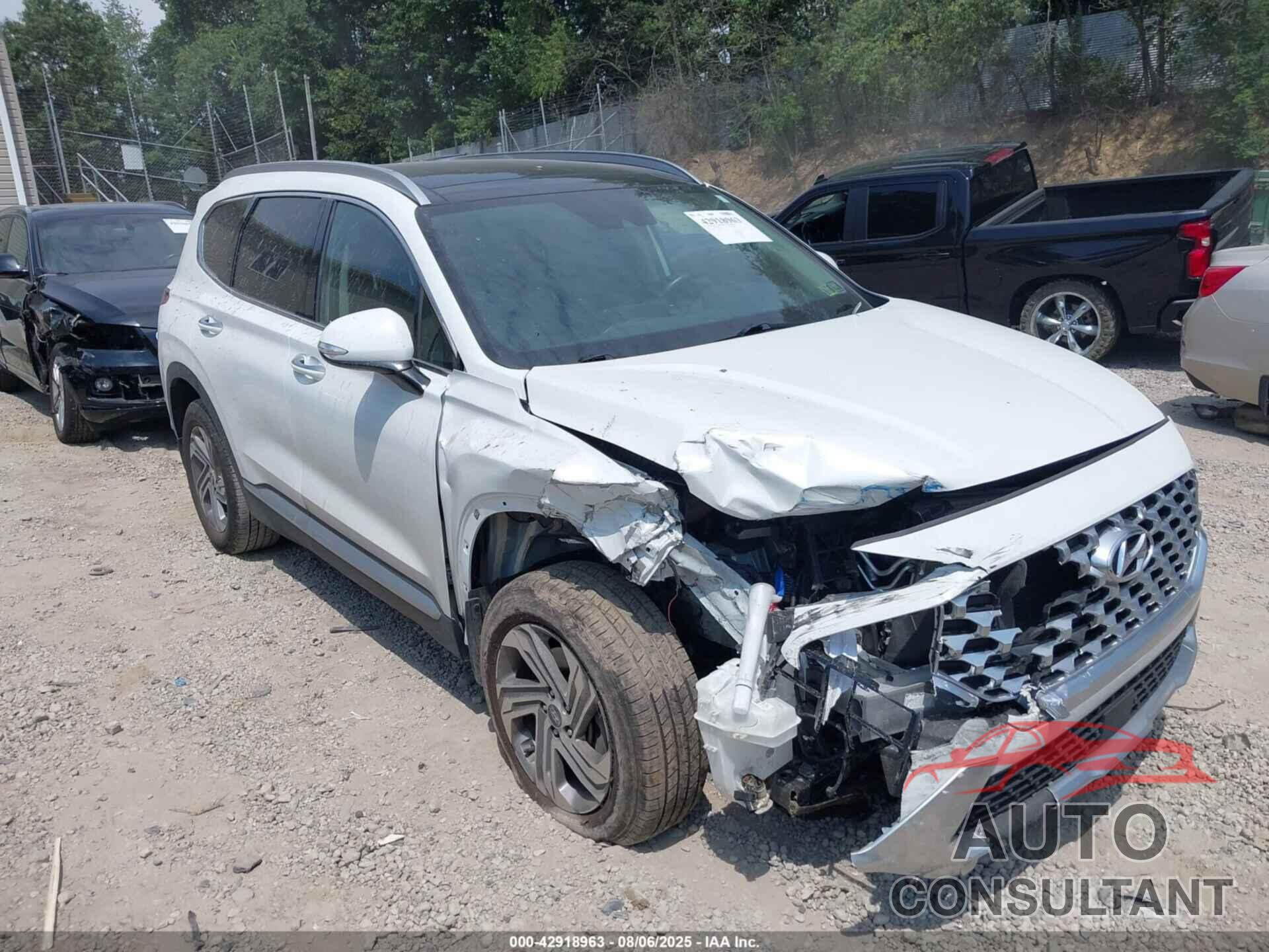 HYUNDAI SANTA FE 2022 - 5NMS3DAJ0NH427510