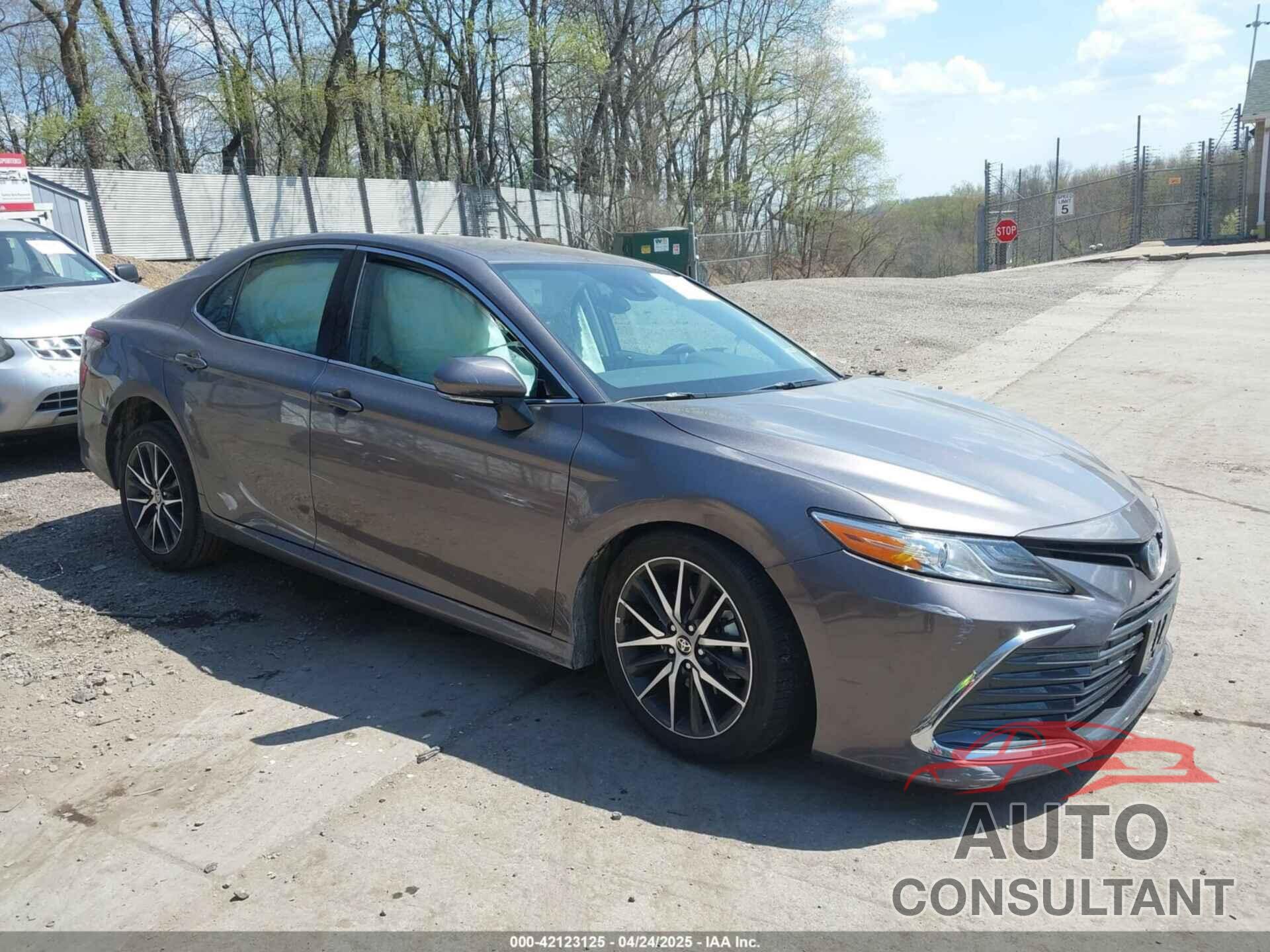 TOYOTA CAMRY HYBRID 2024 - 4T1F31AK9RU071027