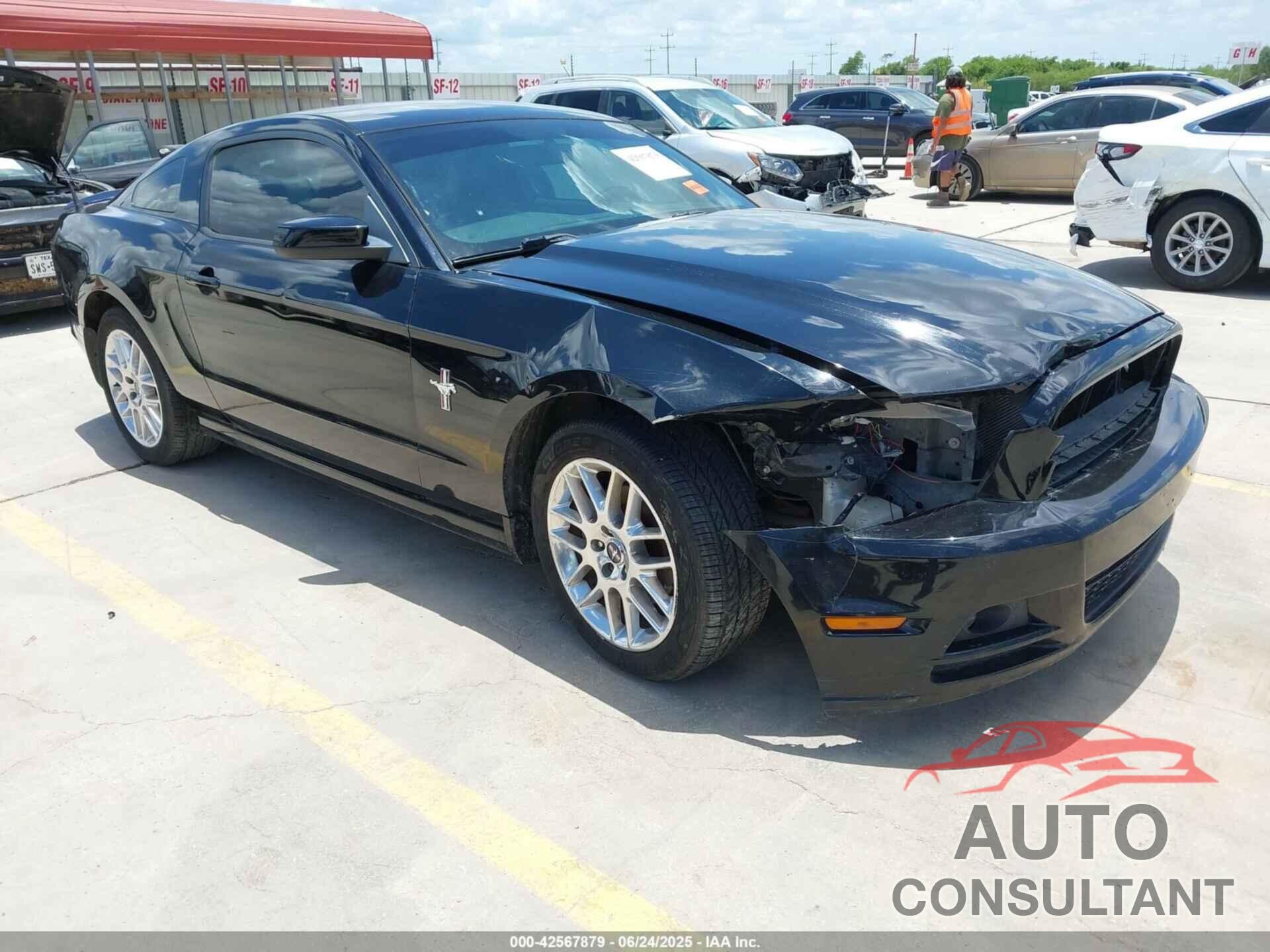 FORD MUSTANG 2014 - 1ZVBP8AM5E5306557