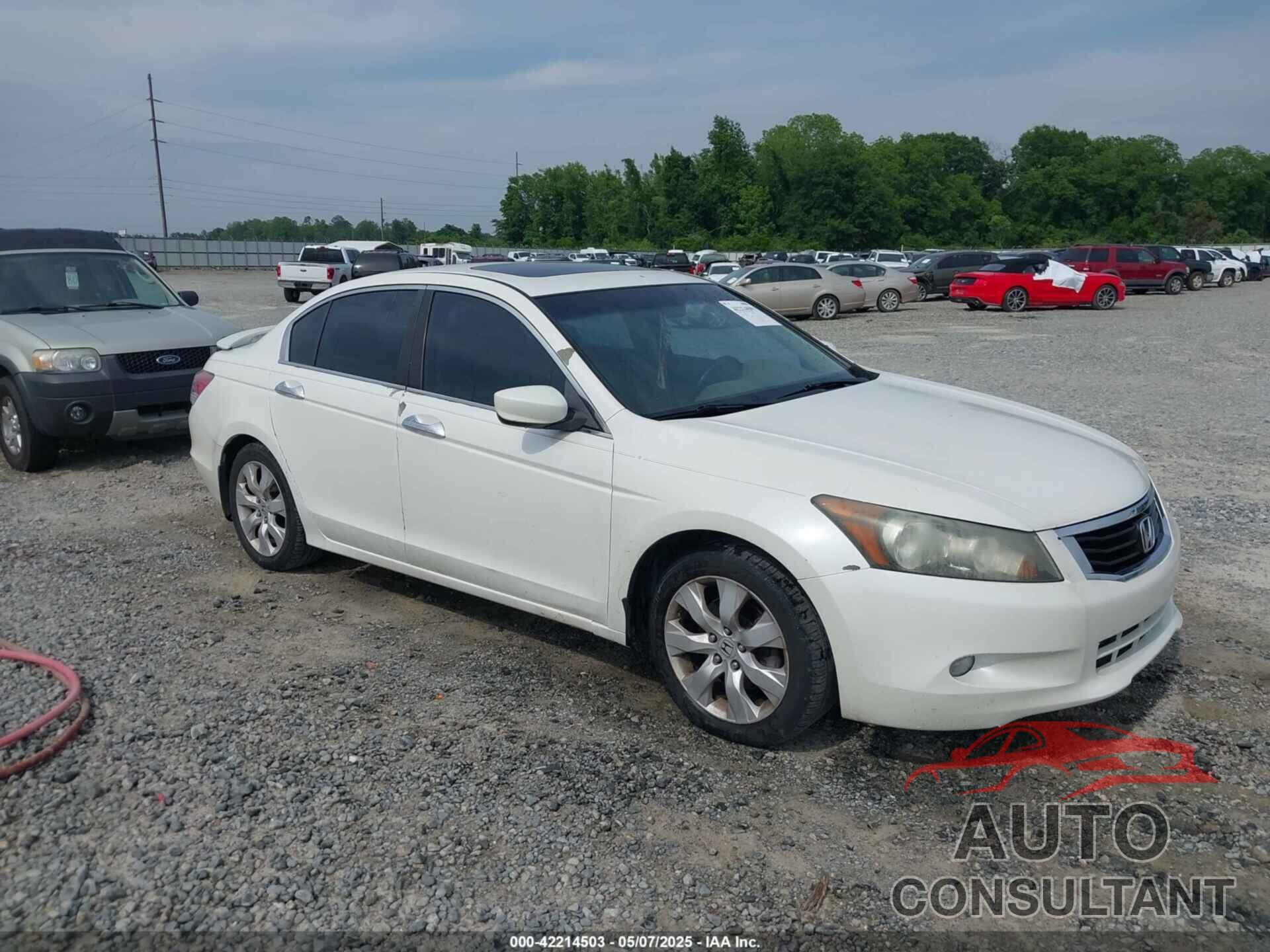 HONDA ACCORD 2010 - 5KBCP3F85AB012897