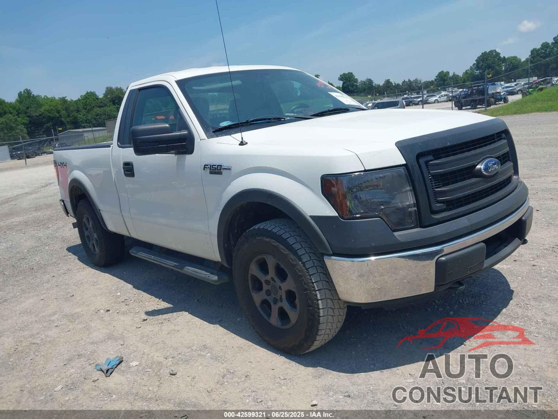 FORD F-150 2013 - 1FTMF1EF1DKG02063