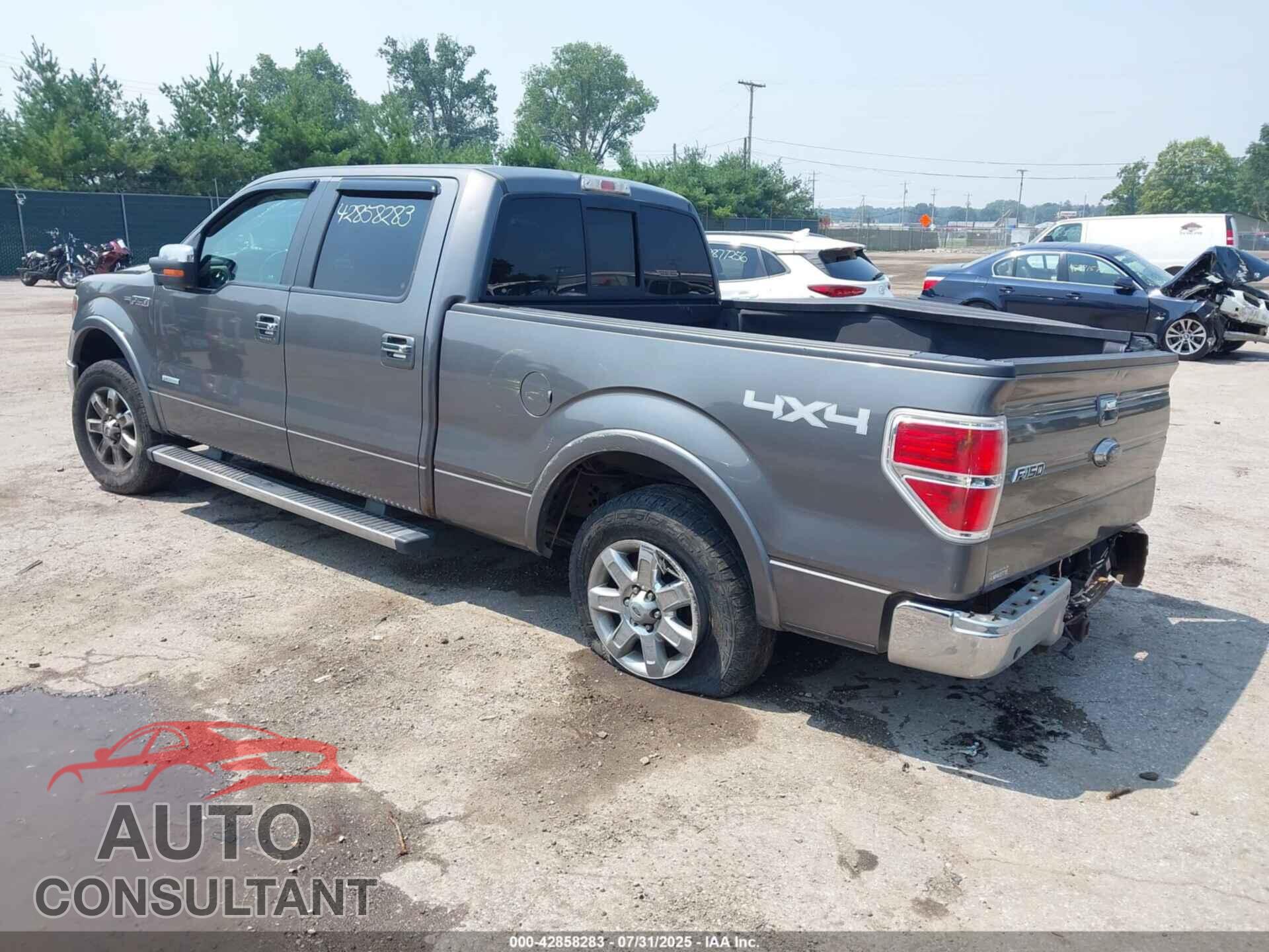 FORD F-150 2013 - 1FTFW1ETXDFD07695