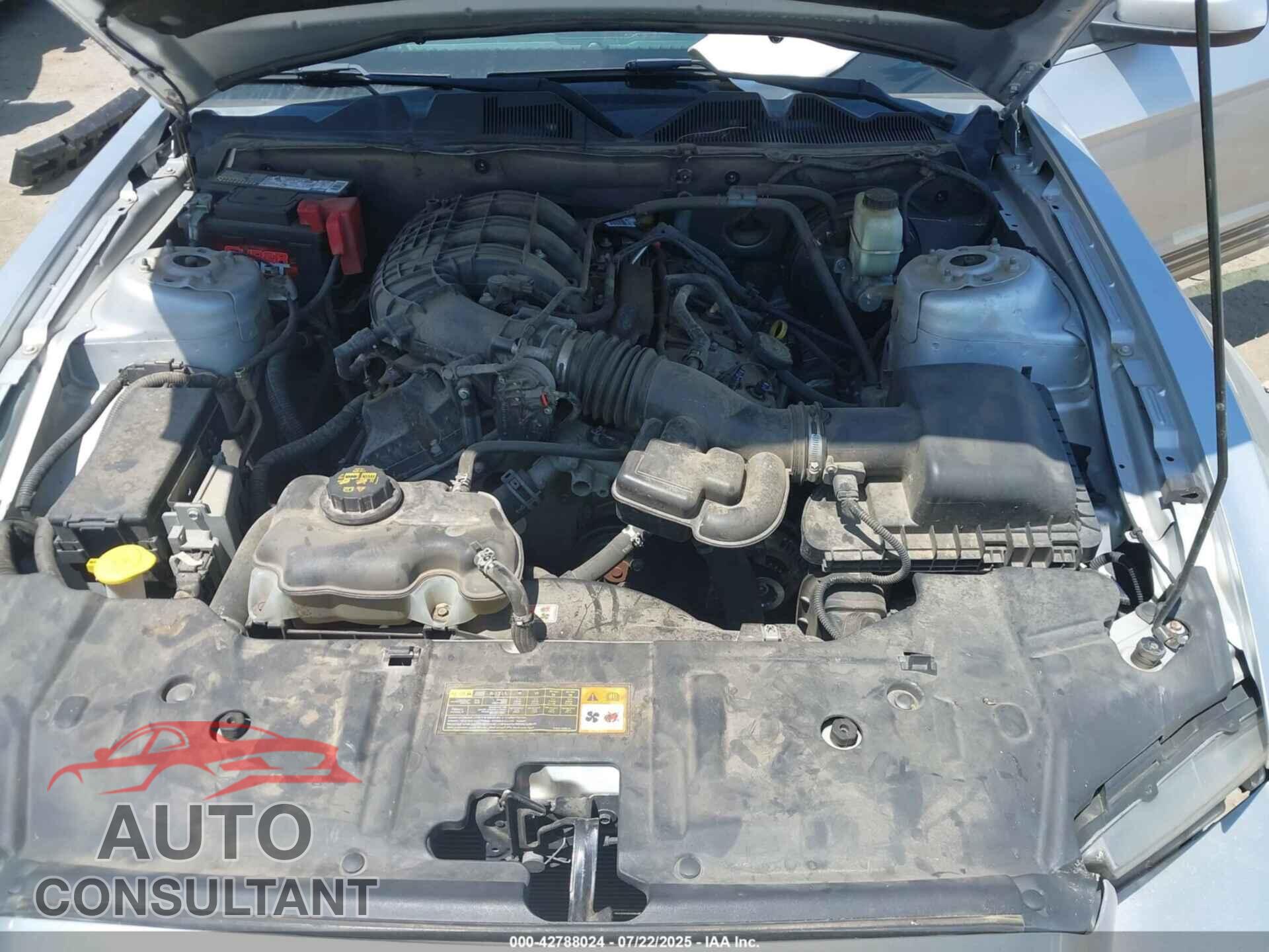 FORD MUSTANG 2014 - 1ZVBP8AM3E5295221