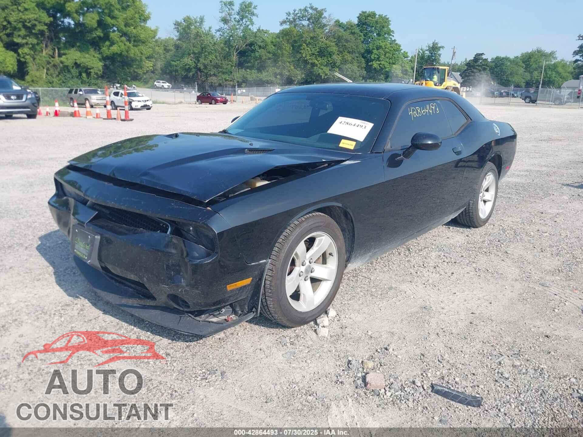 DODGE CHALLENGER 2013 - 2C3CDYAG3DH676170