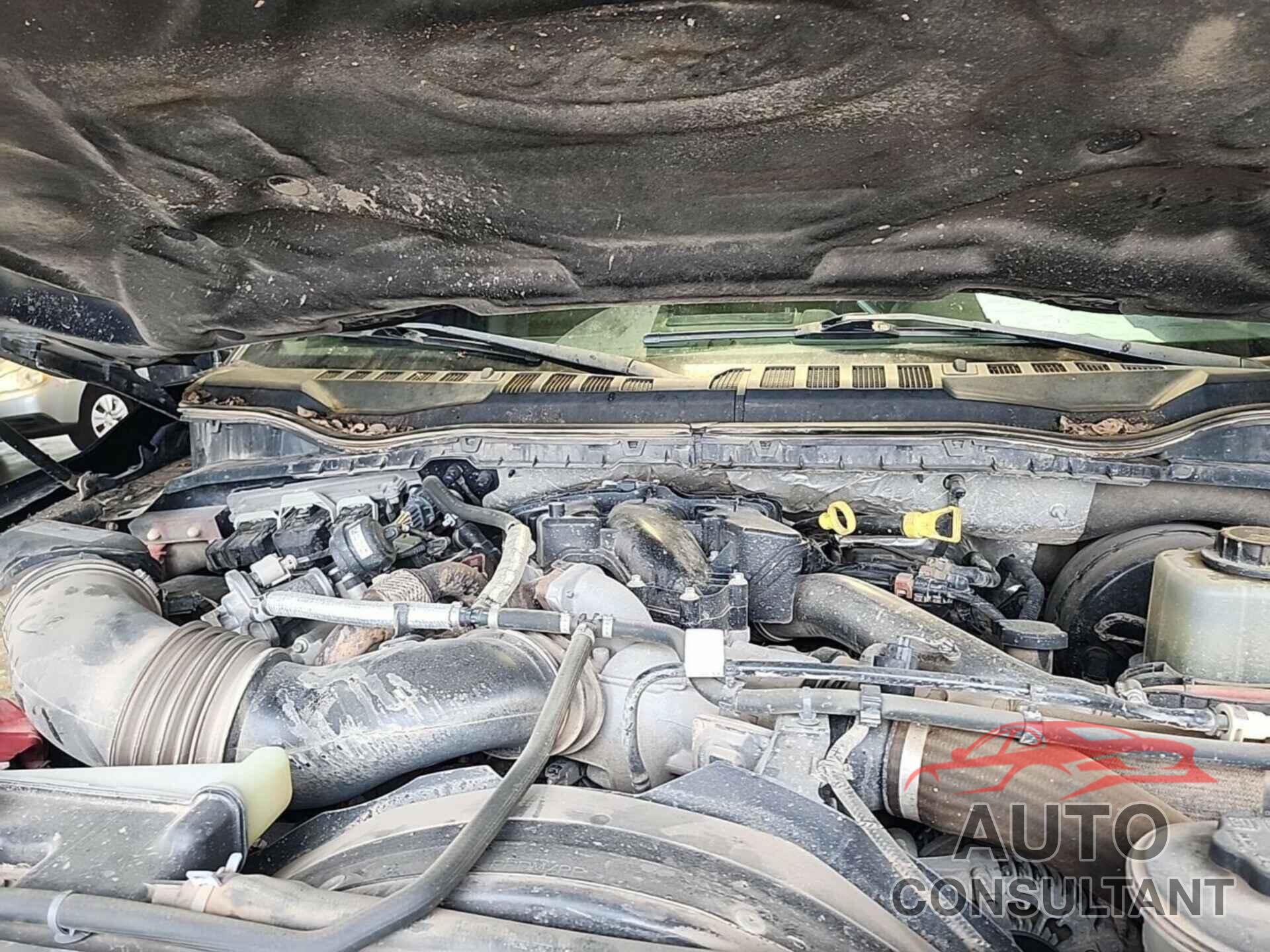 FORD F-250 2019 - 1FT7W2BT8KED70912