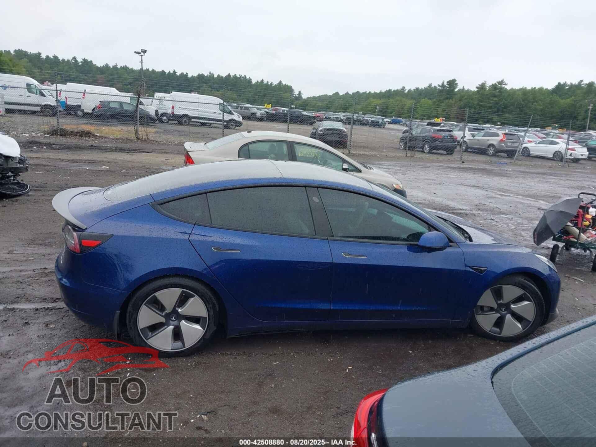 TESLA MODEL 3 2021 - 5YJ3E1EB5MF981321