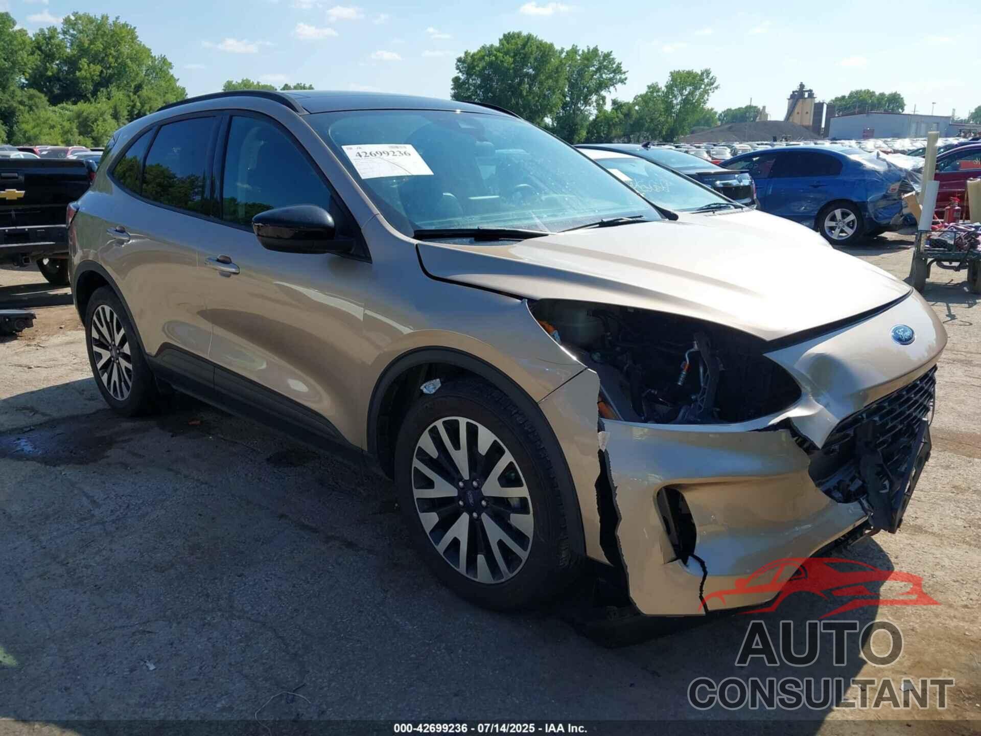 FORD ESCAPE 2020 - 1FMCU9BZ3LUB50078
