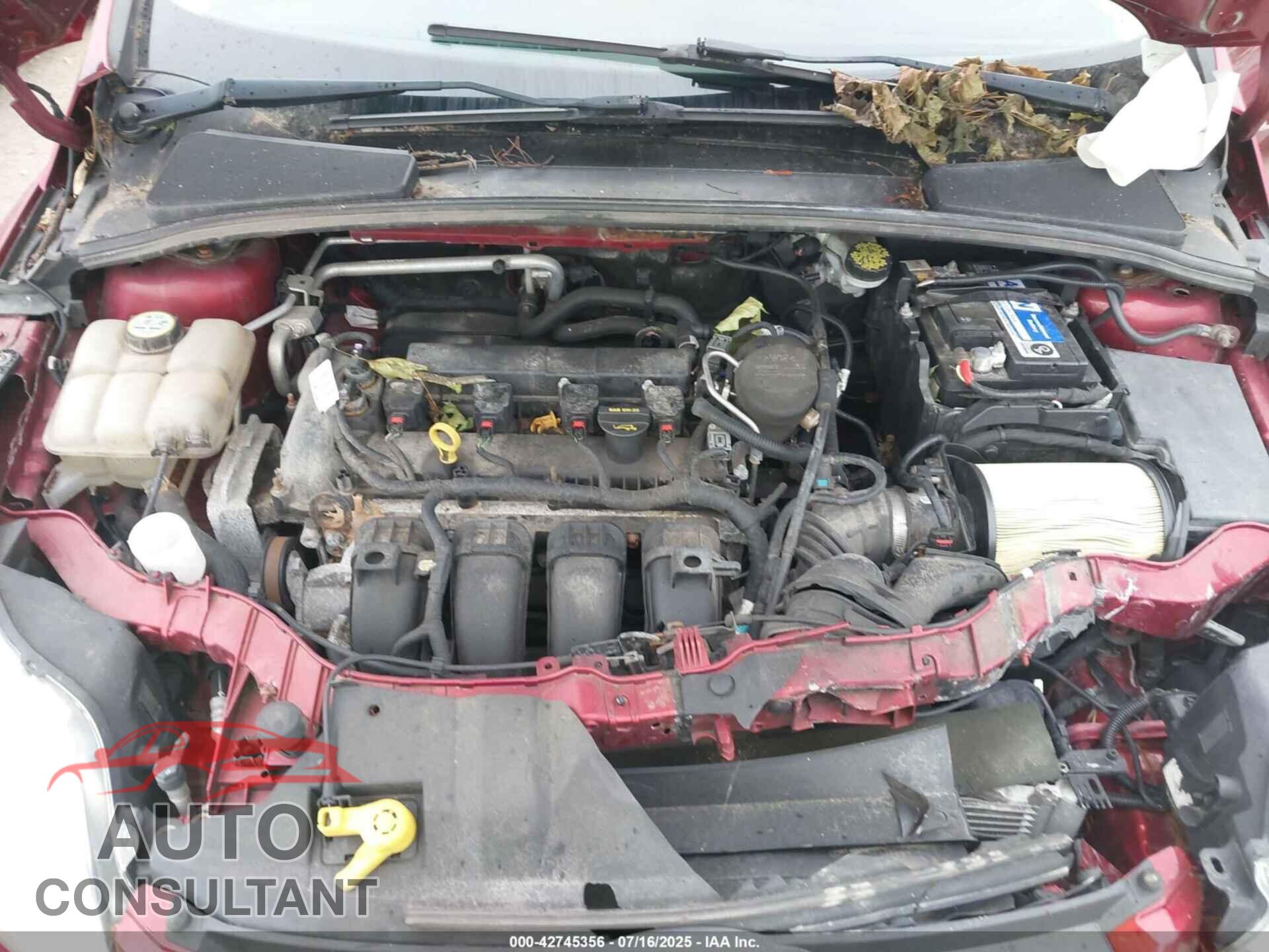 FORD FOCUS 2013 - 1FADP3F26DL156688