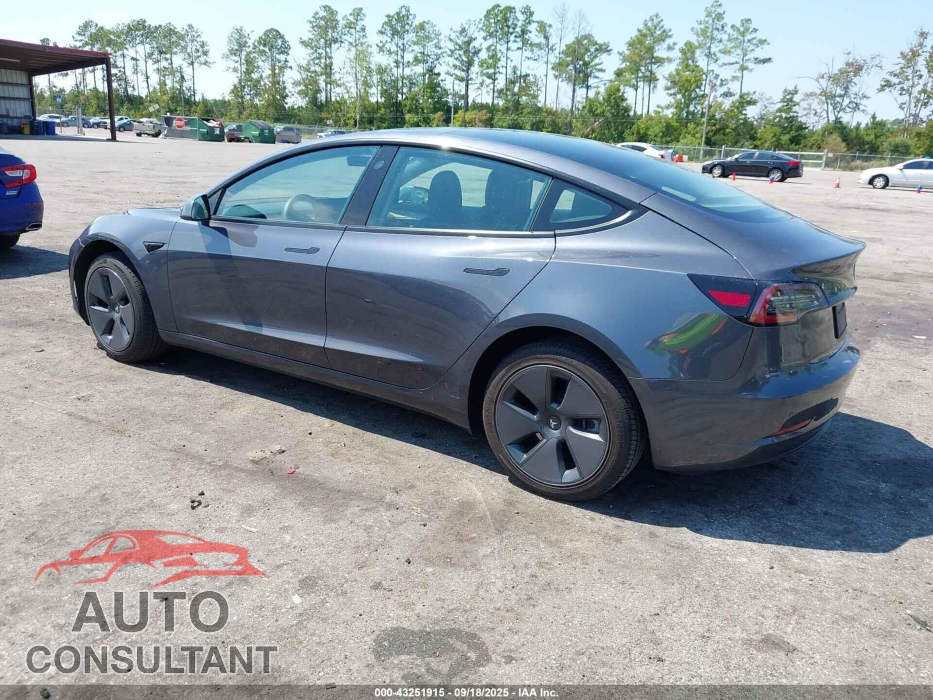 TESLA MODEL 3 2023 - 5YJ3E1EA6PF448065